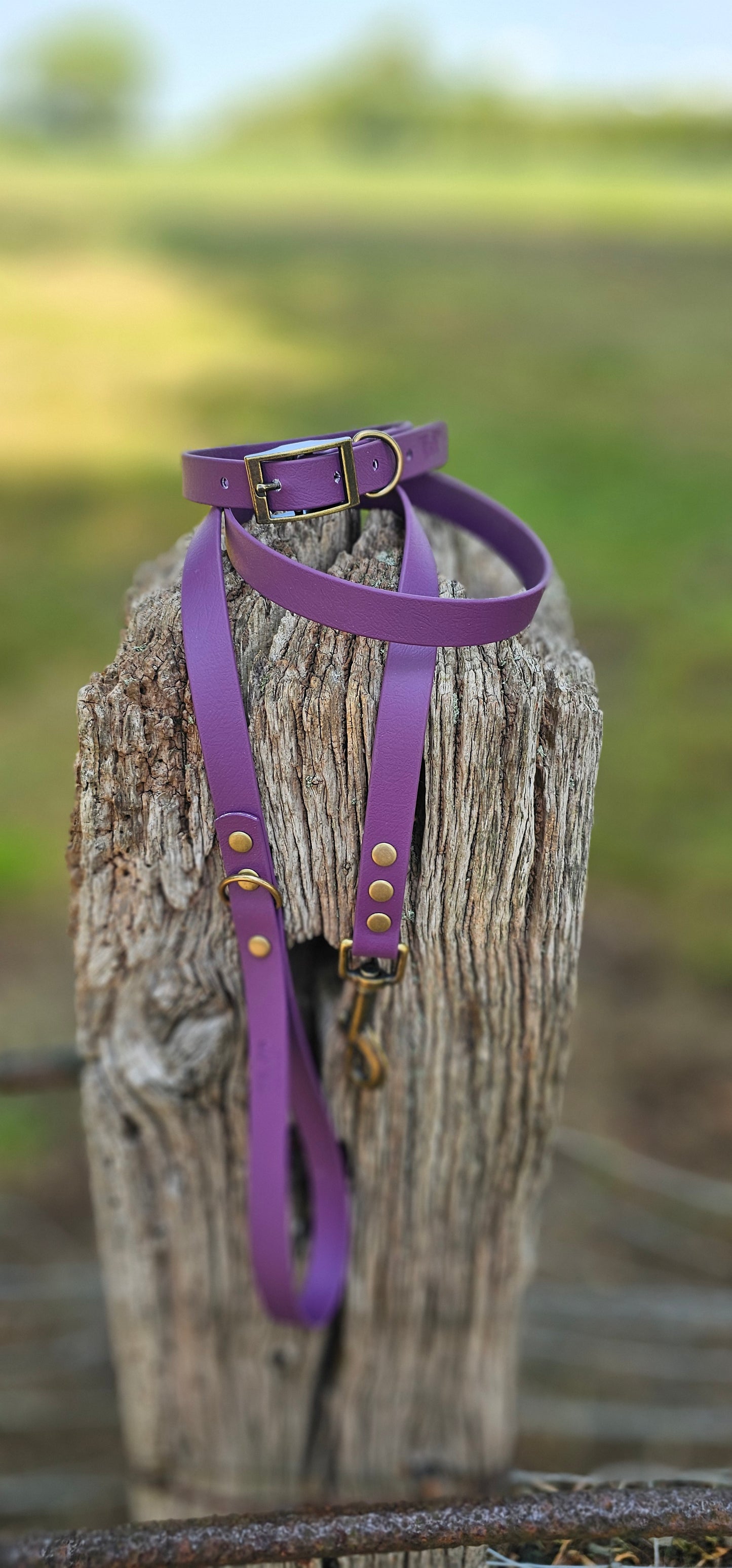 Aubergine Waterproof BioThane© Dog Lead