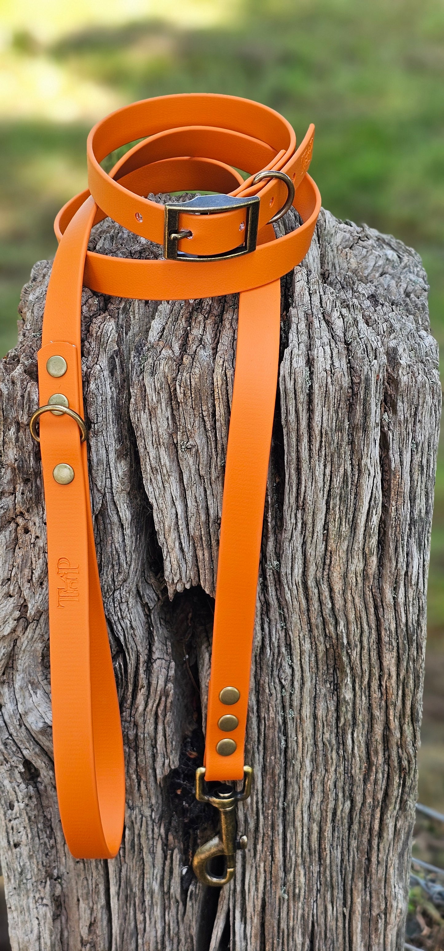 BURNT ORANGE - Waterproof BioThane© Dog Collar / Dog Lead