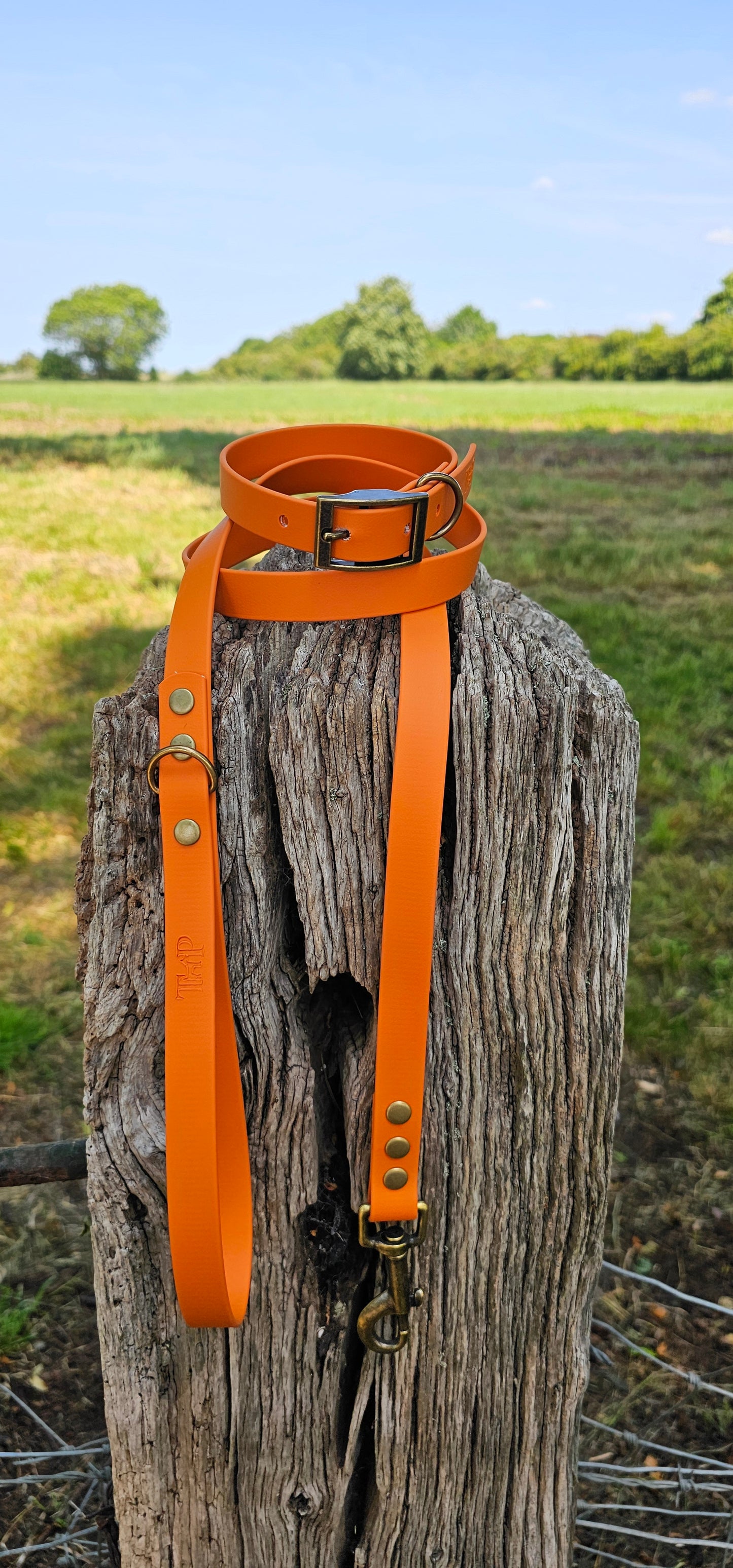 BURNT ORANGE - Waterproof BioThane© Dog Collar / Dog Lead