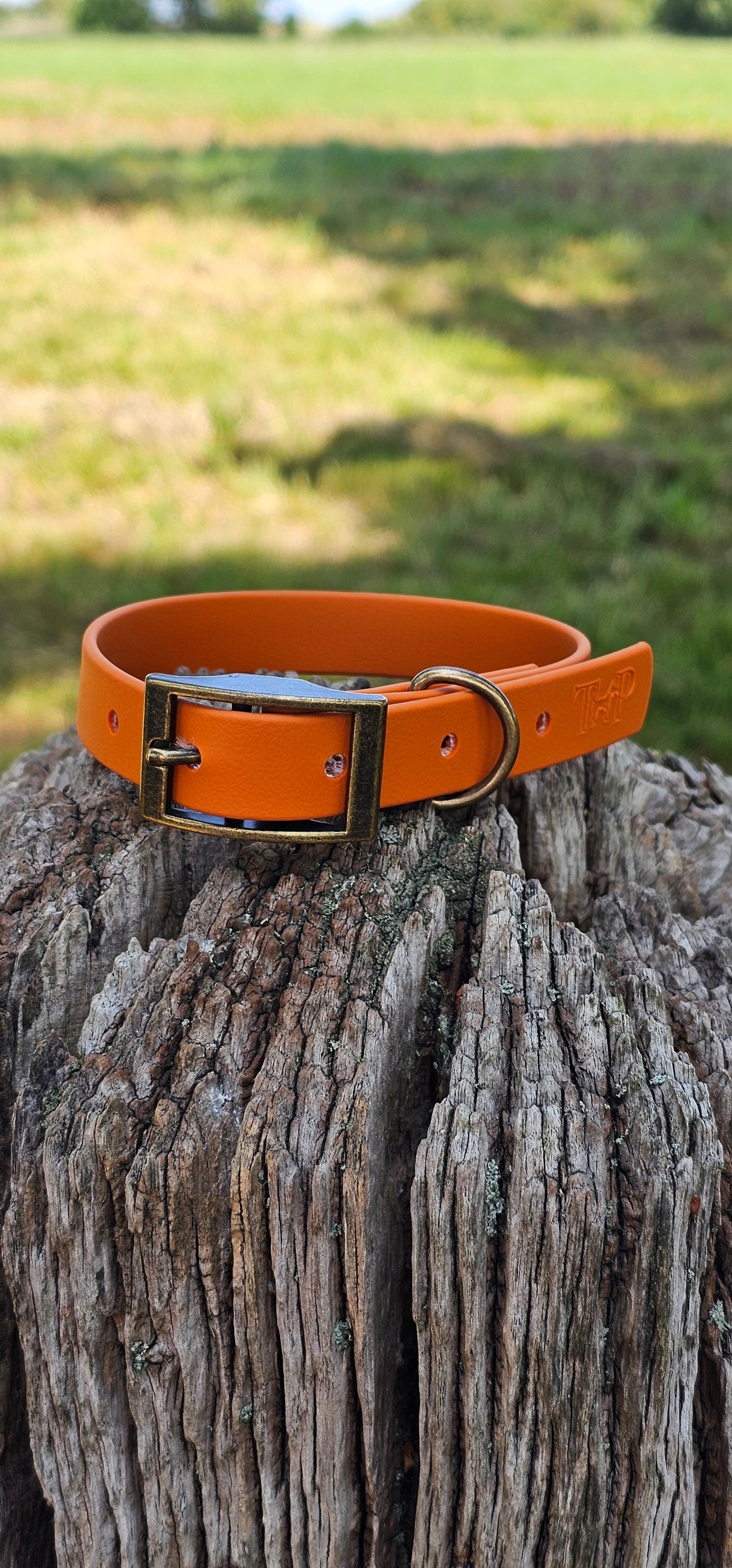 BURNT ORANGE - Waterproof BioThane© Dog Collar / Dog Lead