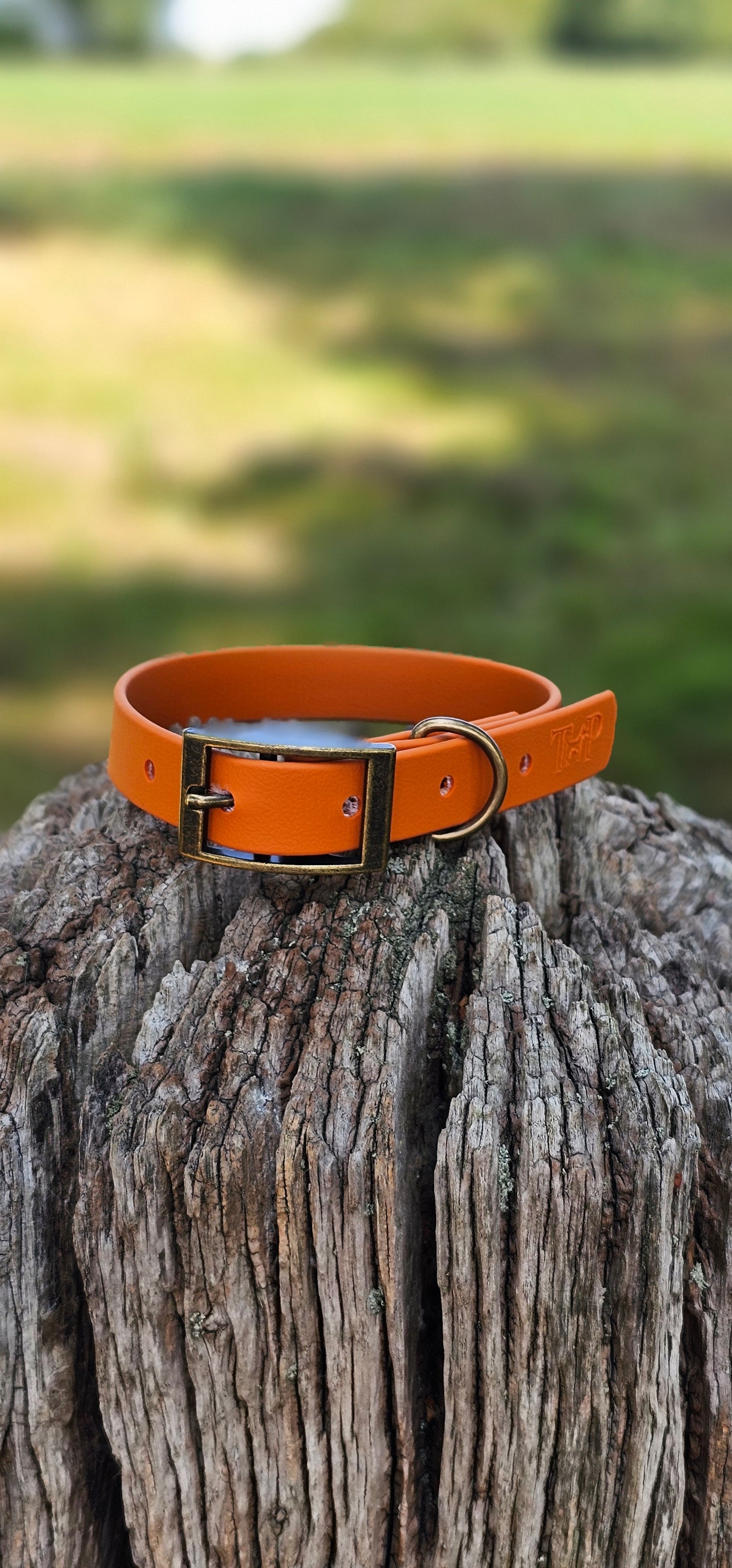BURNT ORANGE - Waterproof BioThane© Dog Collar / Dog Lead