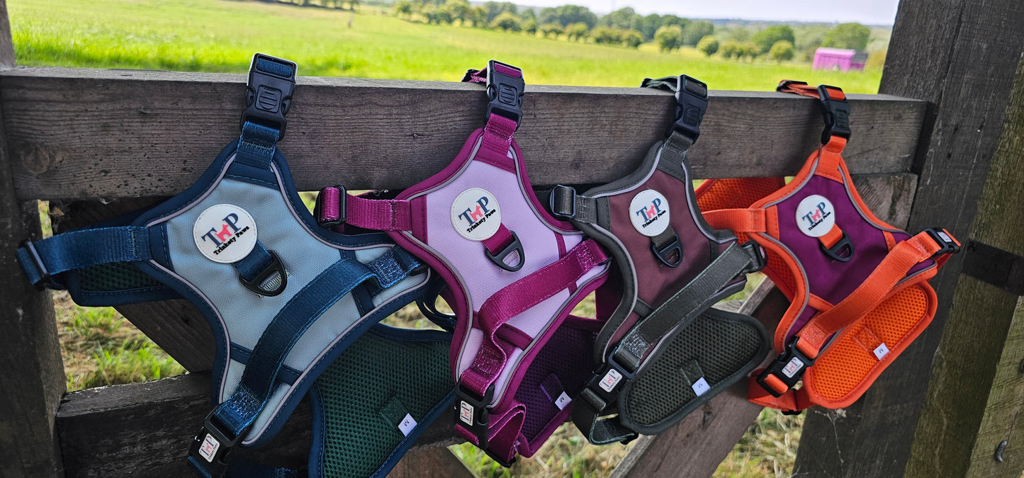 Stormberry - EasyFit™ Dog Harness