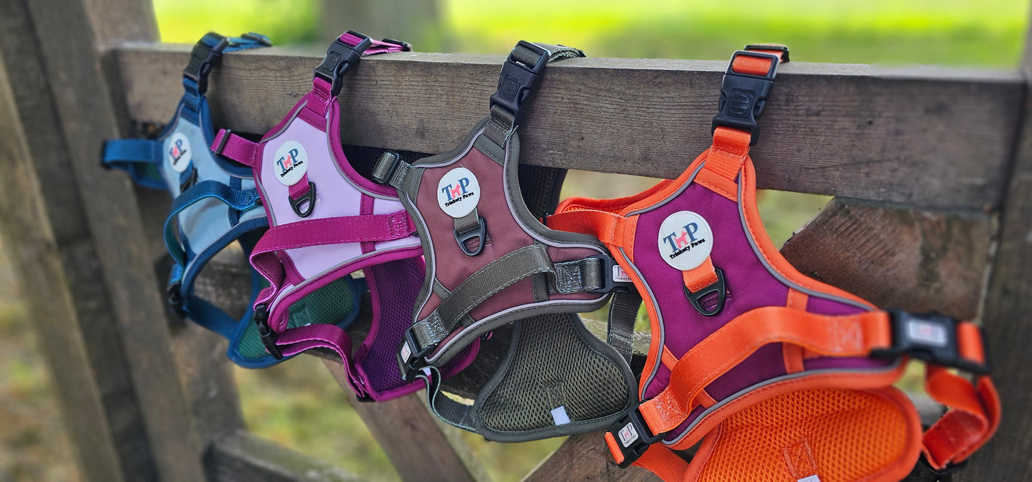 Earthbound - EasyFit™ Dog Harness