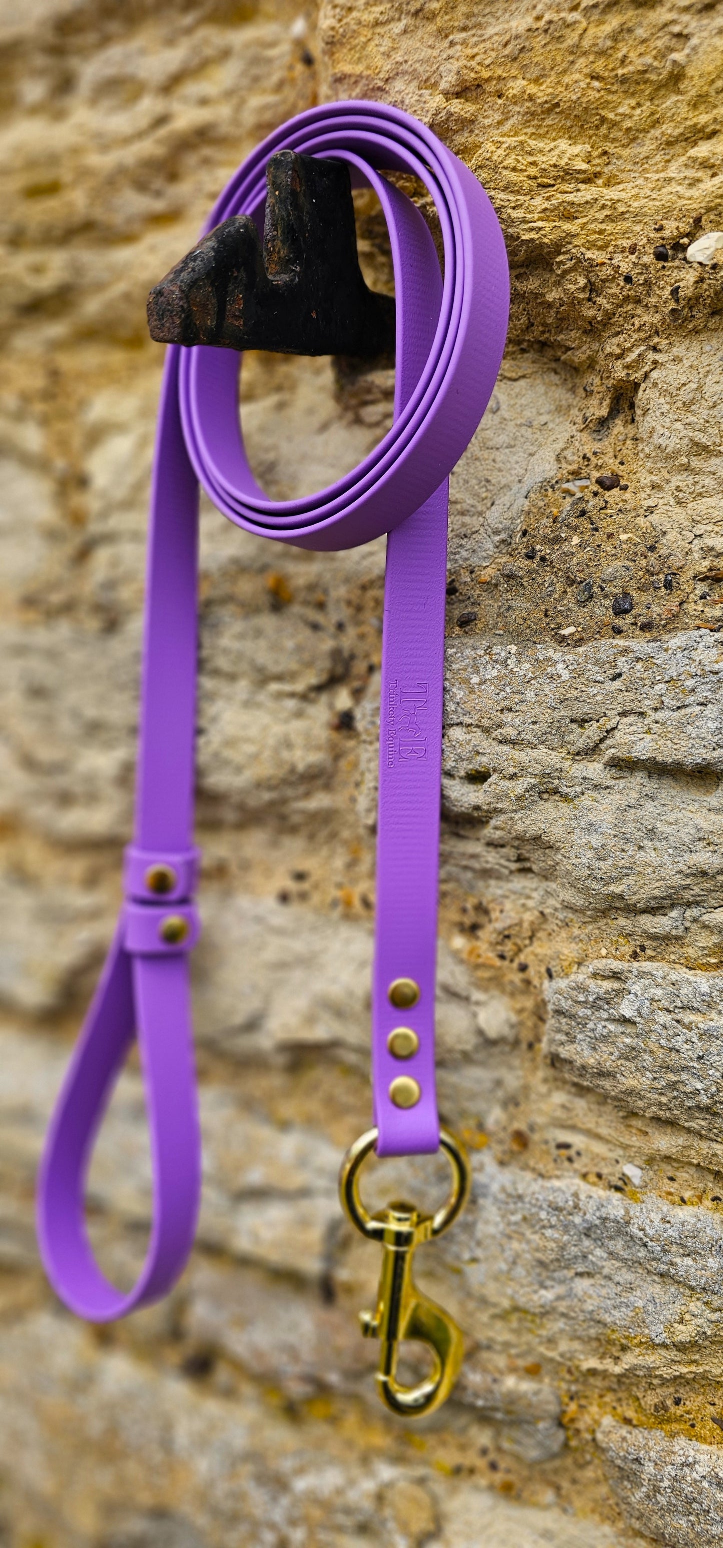 Amethyst - Waterproof BioThane® Horse break-away Lead Lines