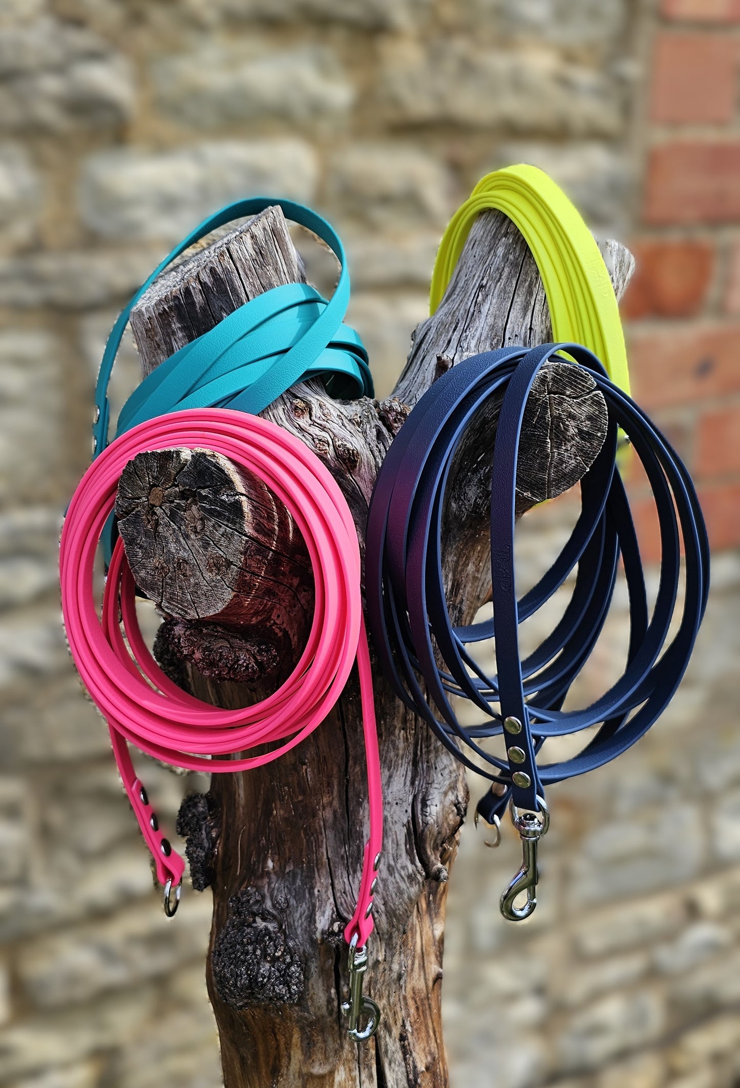 Warm Purple - Waterproof Dog Long Line Lead