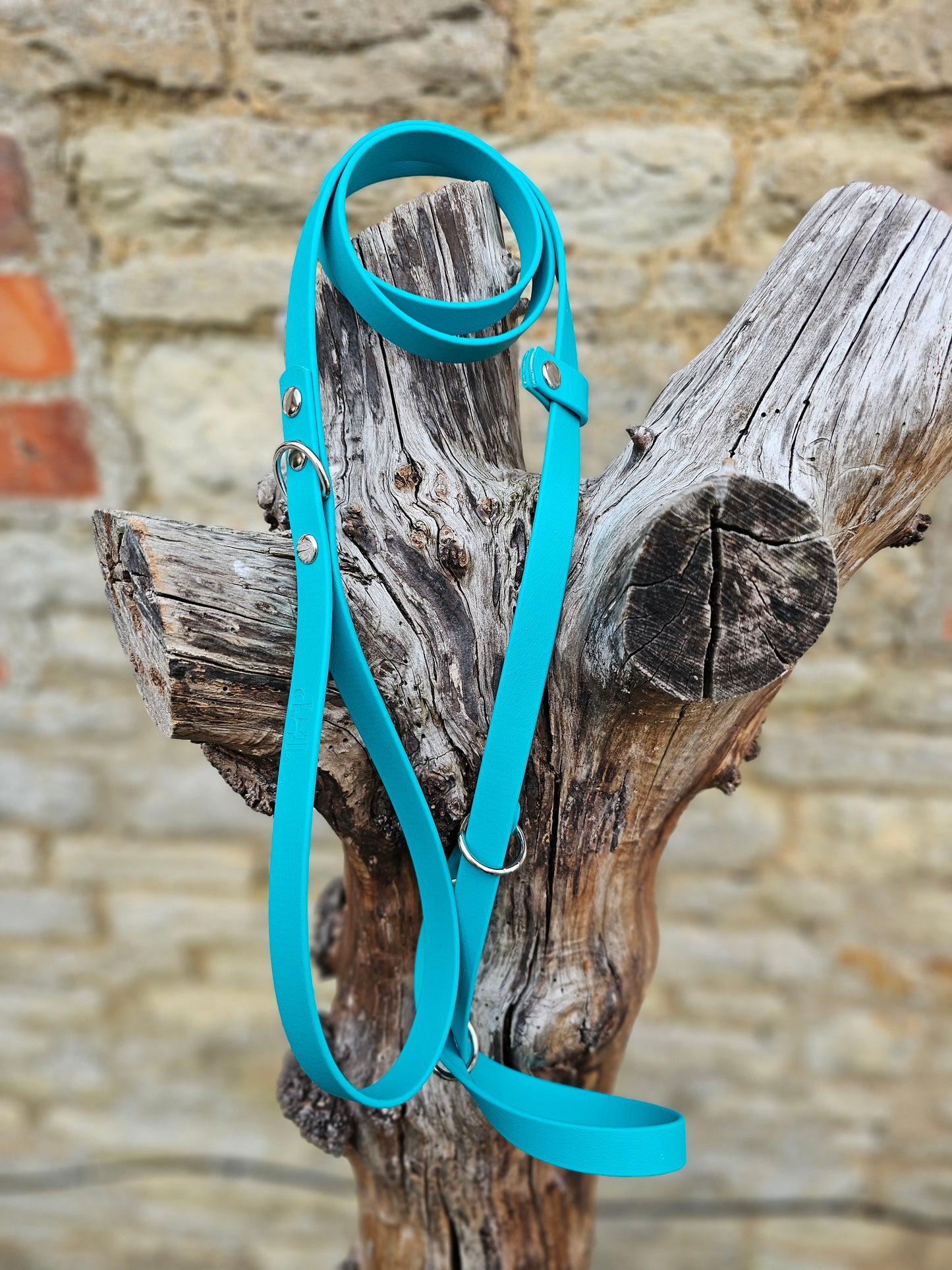 Teal - Waterproof BioThane© Dog Figure8 Lead