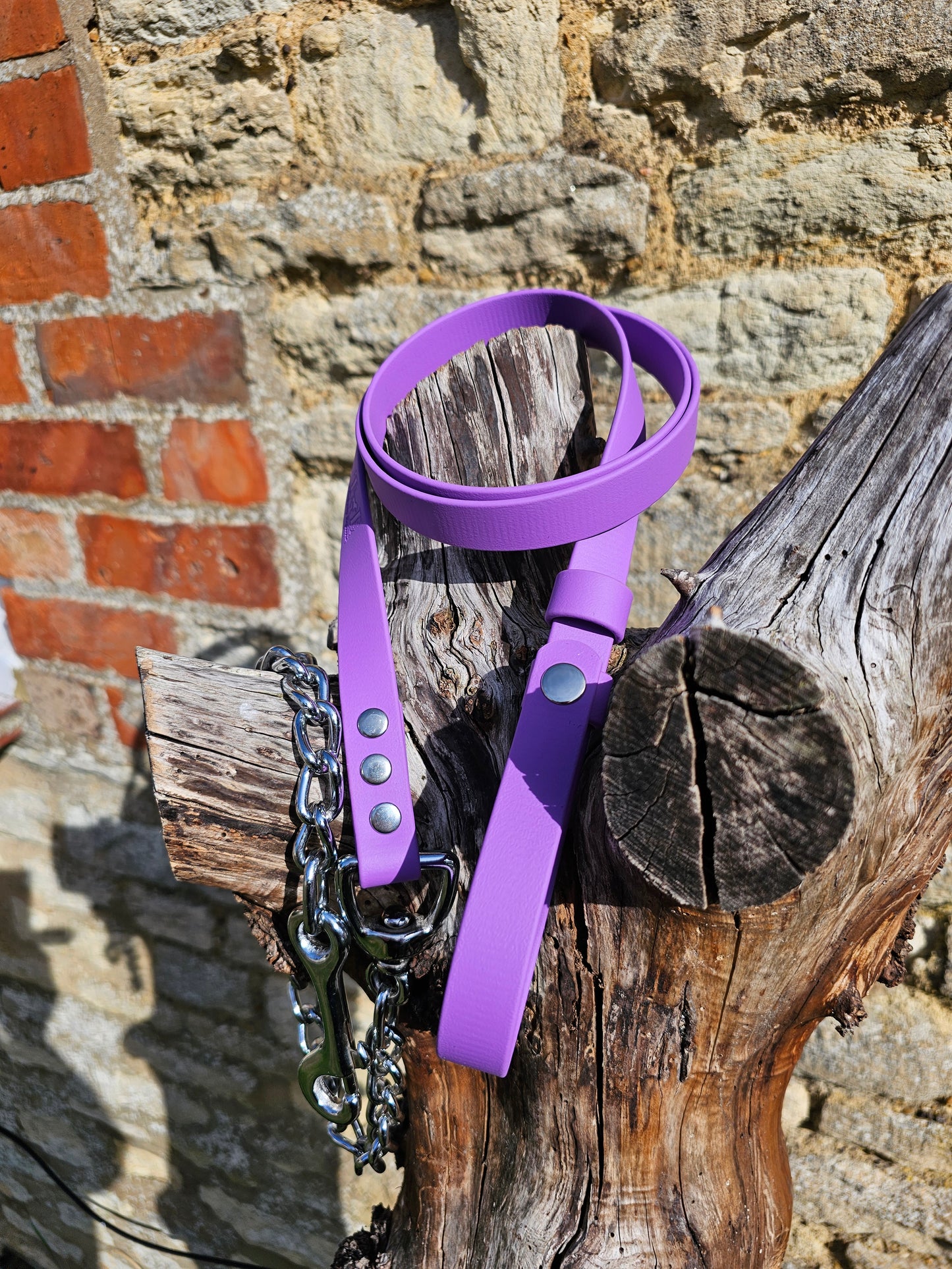 Amethyst - Waterproof BioThane® Horse break-away Lead Lines