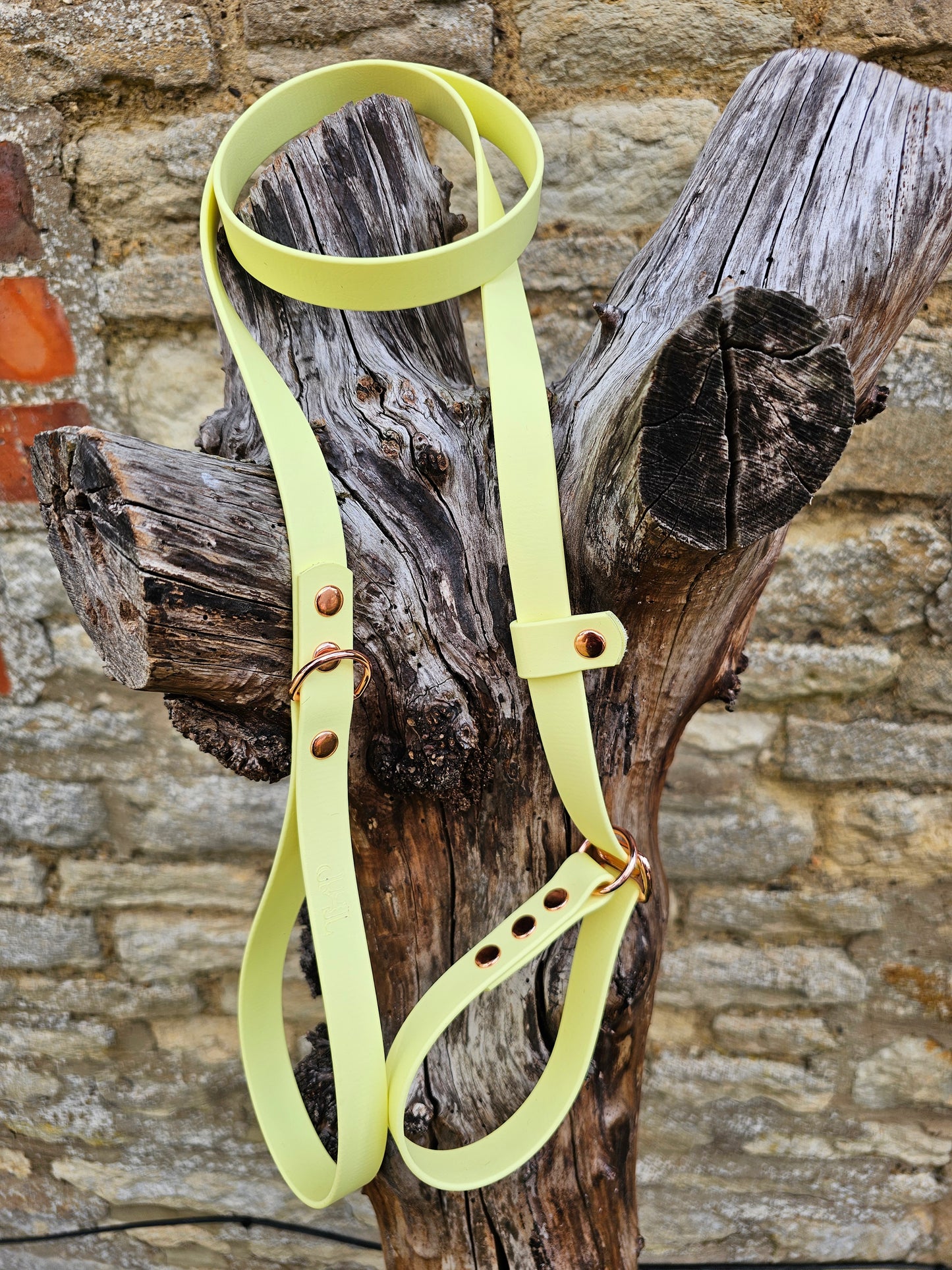 Lemon - Waterproof BioThane© Dog Slip Lead
