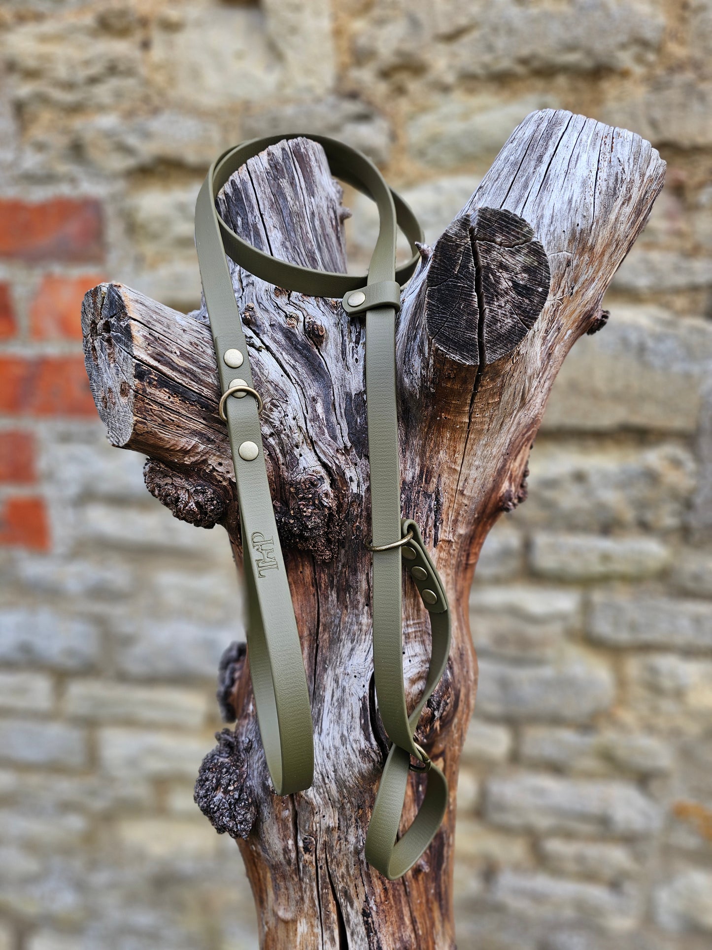 Olive - Waterproof BioThane© Dog Figure8 Lead