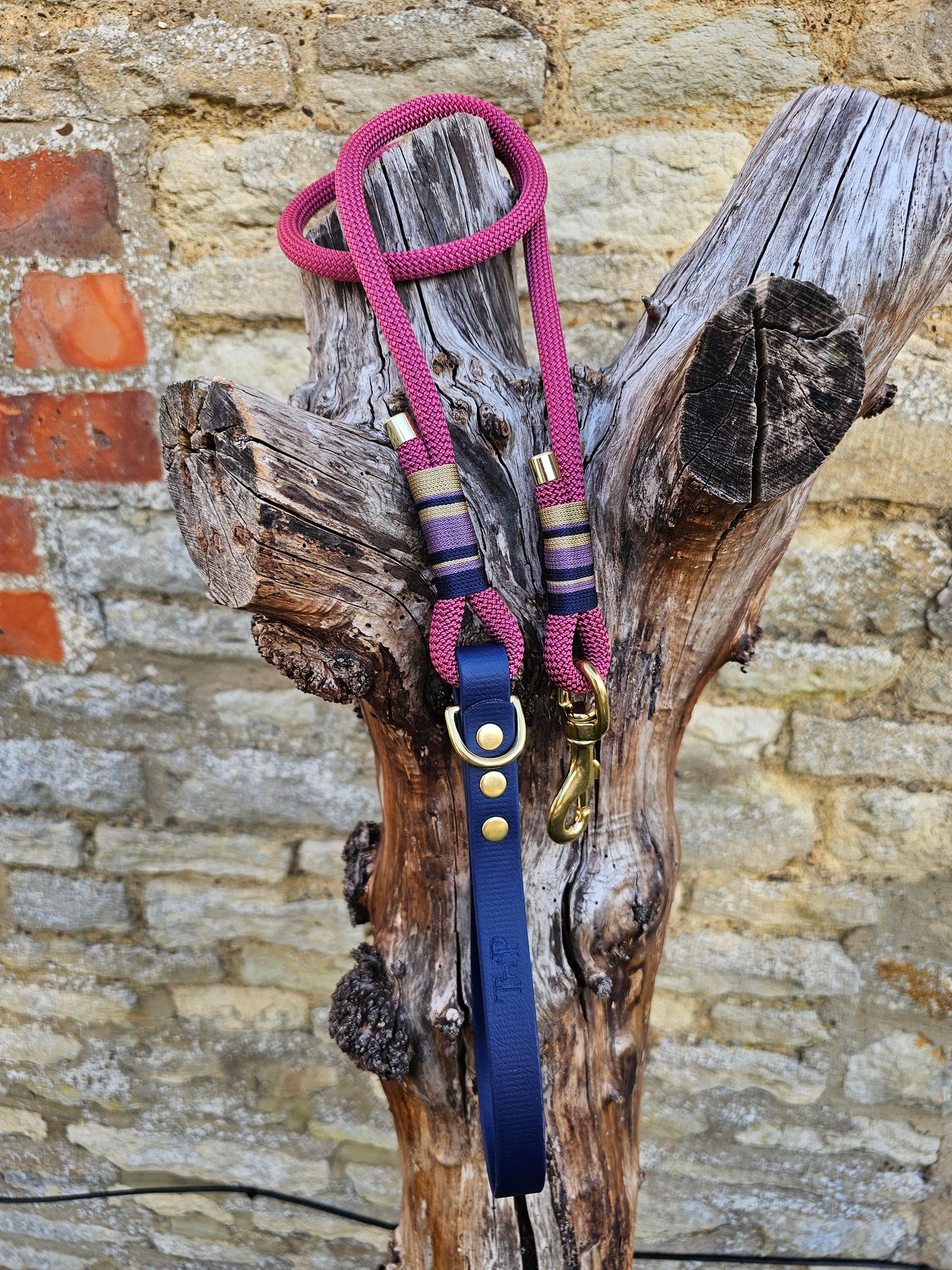 Oxford - Premium Rope BioThane® Dog Lead