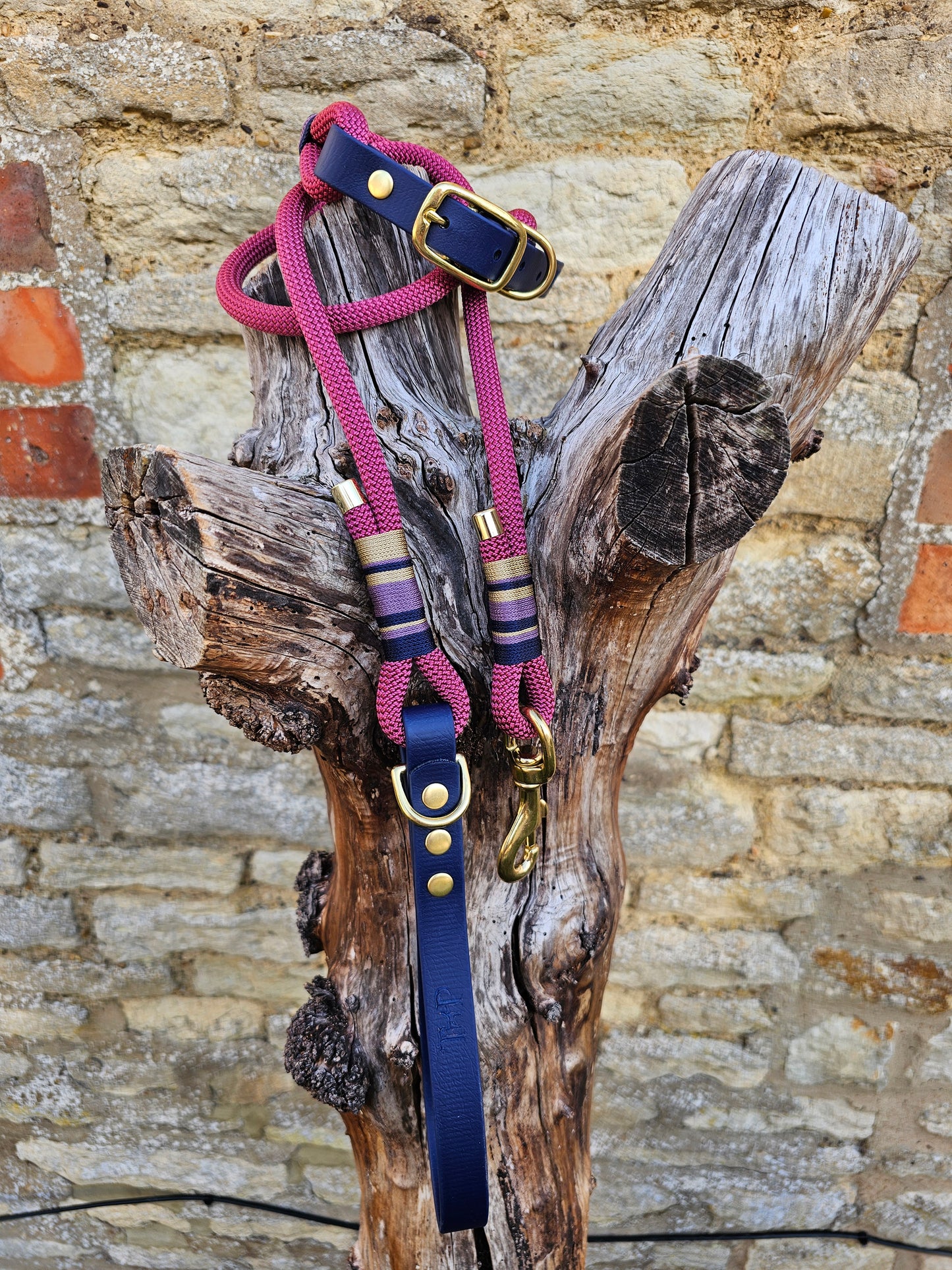 Oxford - Premium Rope BioThane® Dog Lead