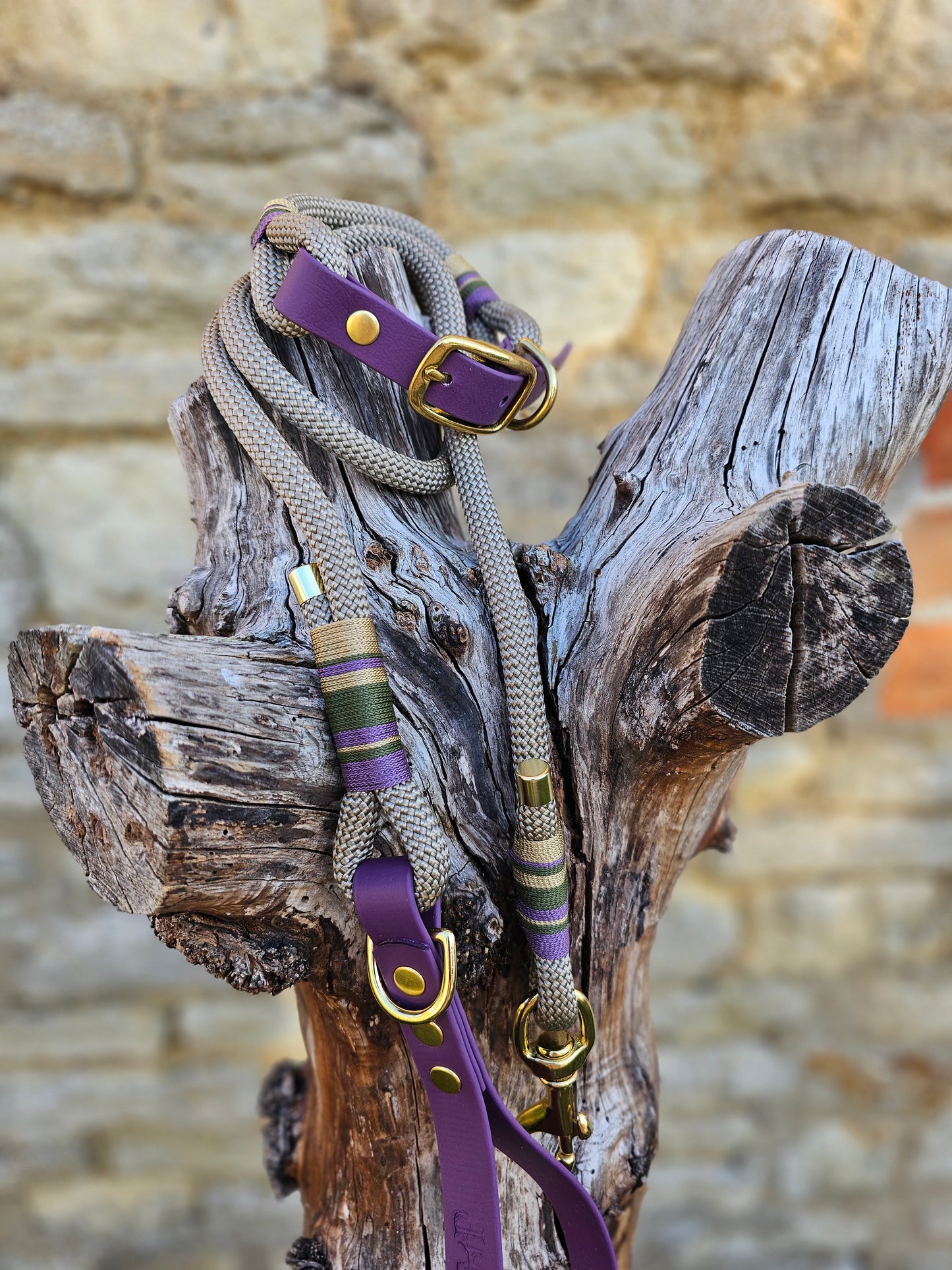 Premium Rope Collar & Lead Bundle