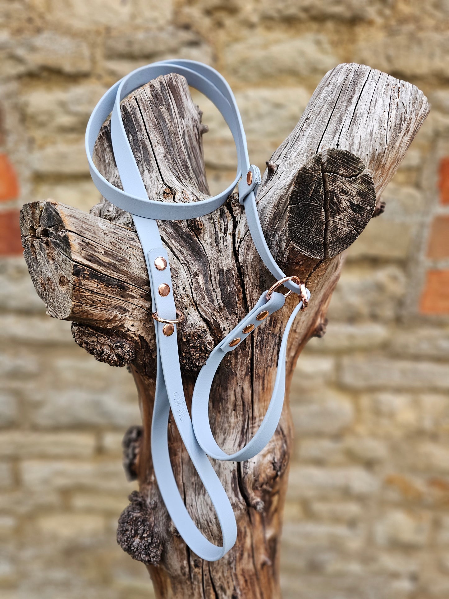 Baby Blue - Waterproof BioThane© Dog Slip Lead