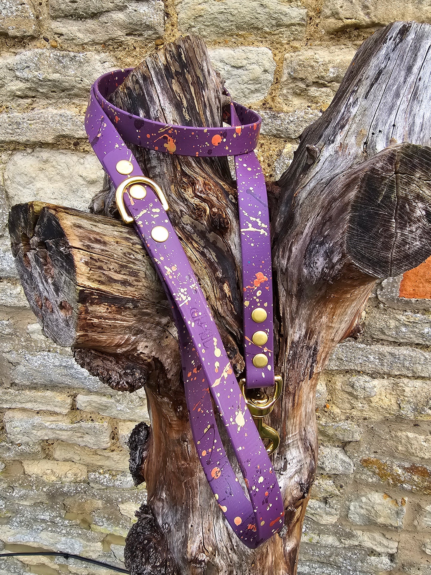 Celestial Aubergine – Waterproof BioThane® Splatter Dog Lead