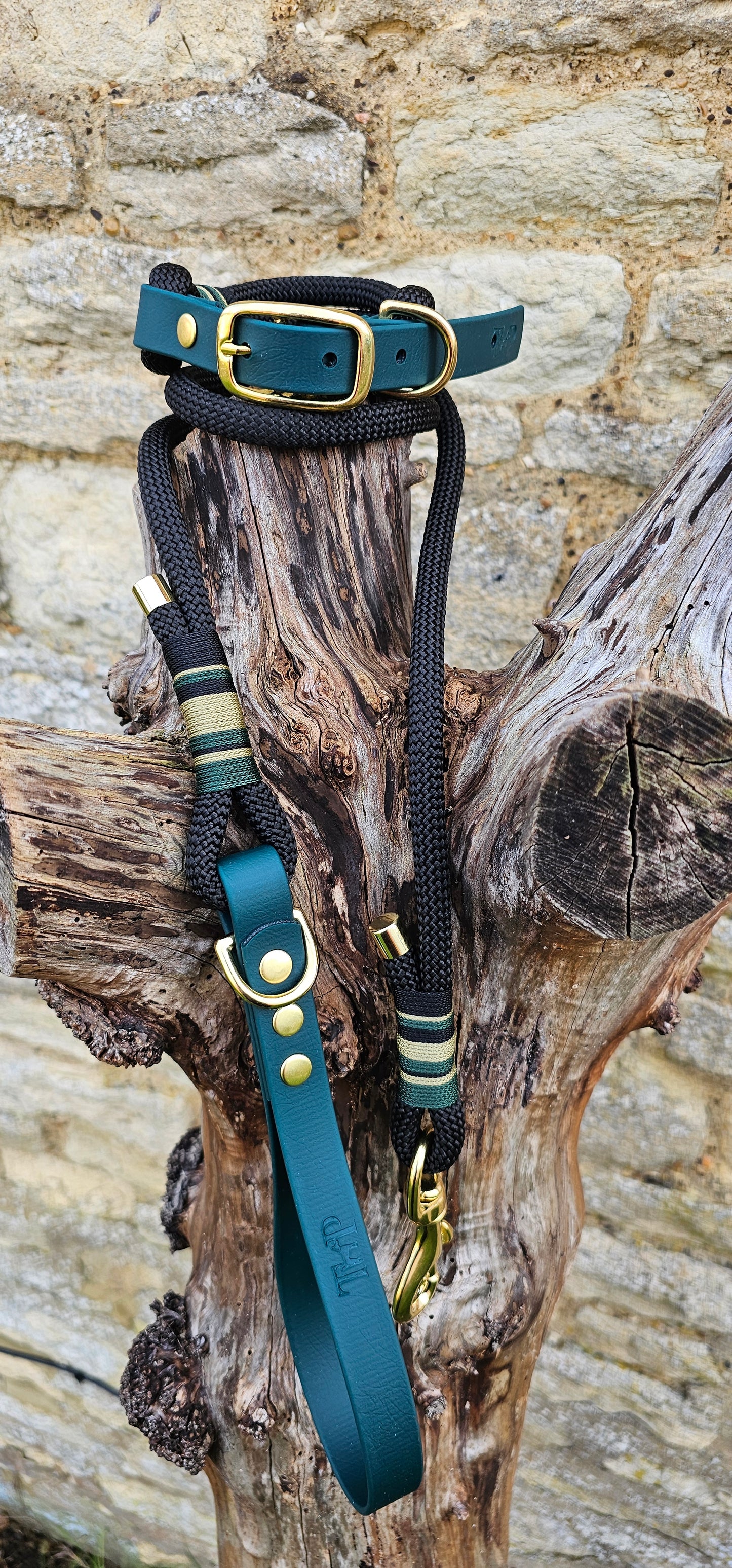Buckingham - Premium Rope BioThane® Dog Lead