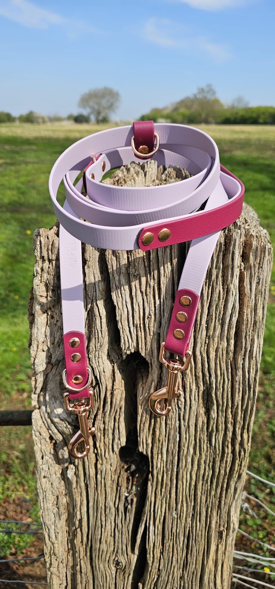 Lilac & Burgundy - Waterproof Biothane® Handsfree Dog Training Lead / Multiway Dog Lead