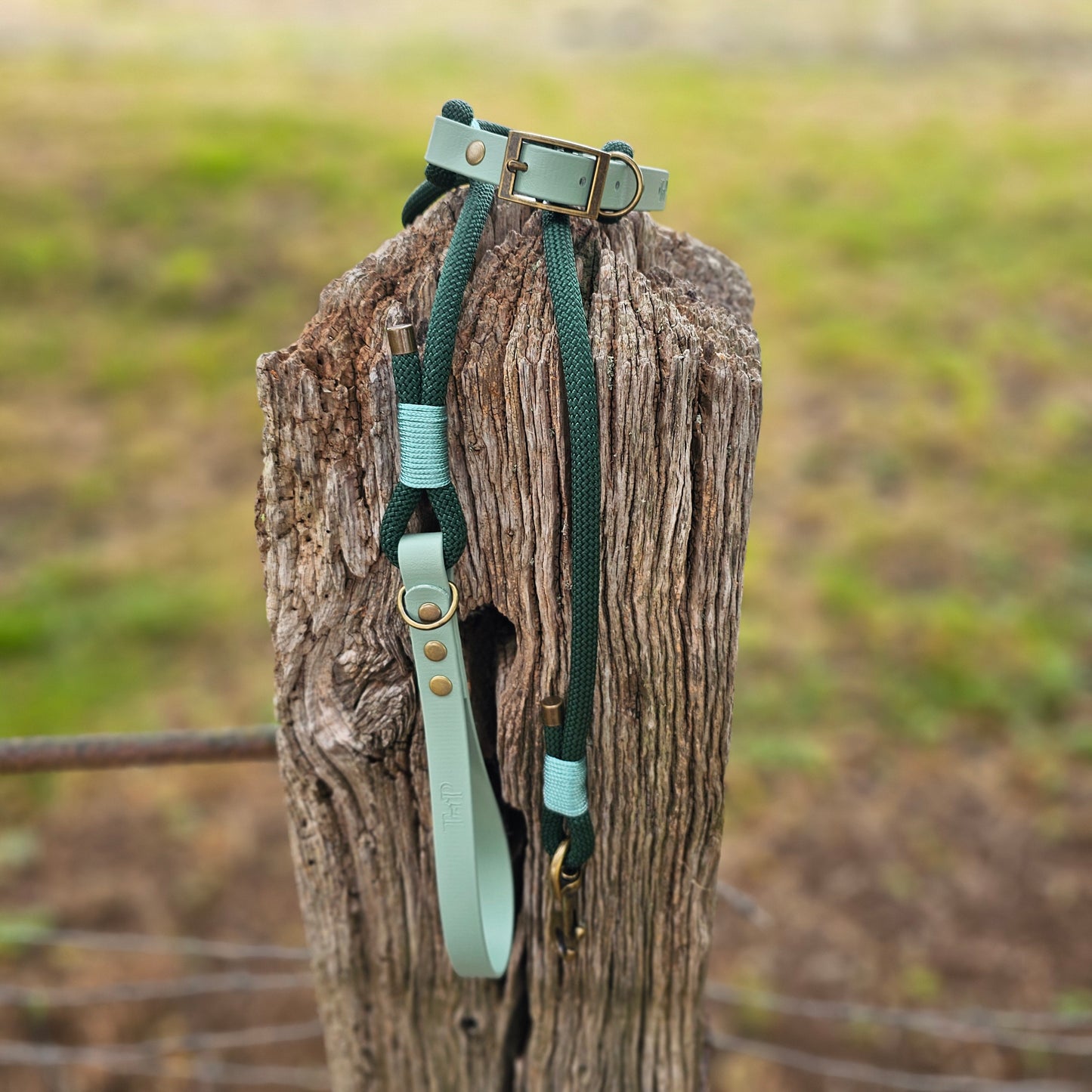 DARK GREEN & SAGE - Classic Rope BioThane® Dog Lead