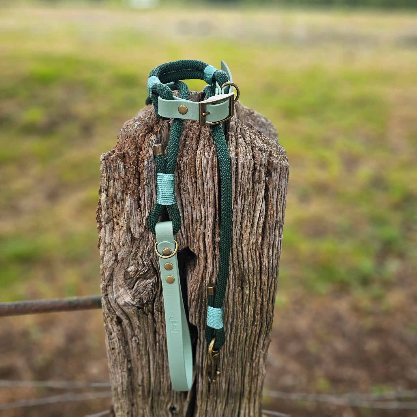 DARK GREEN & SAGE - Classic Rope BioThane® Dog Collar