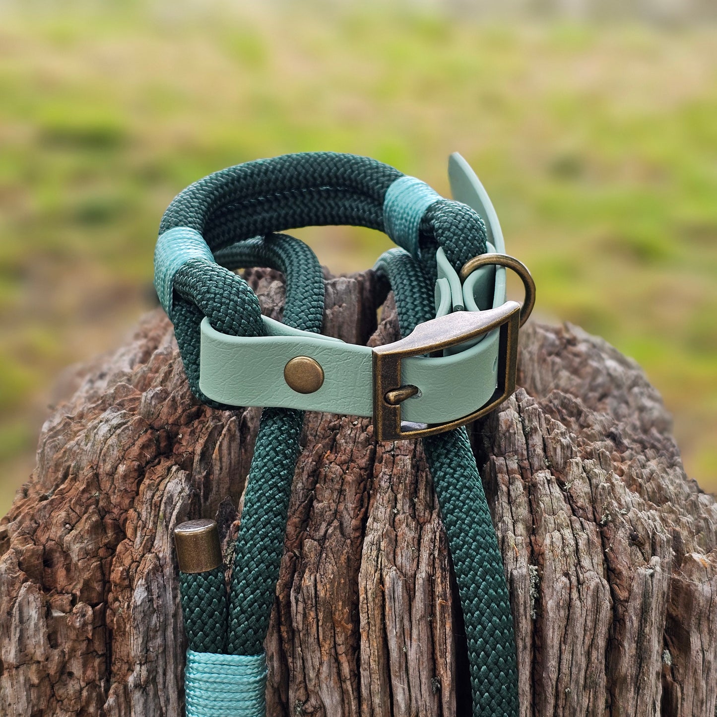 DARK GREEN & SAGE - Classic Rope BioThane® Dog Collar
