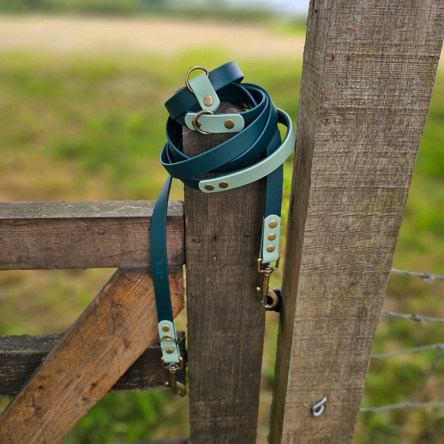 Dark Green & Sage - Waterproof Biothane® Handsfree Dog Training Lead / Multiway Dog Lead