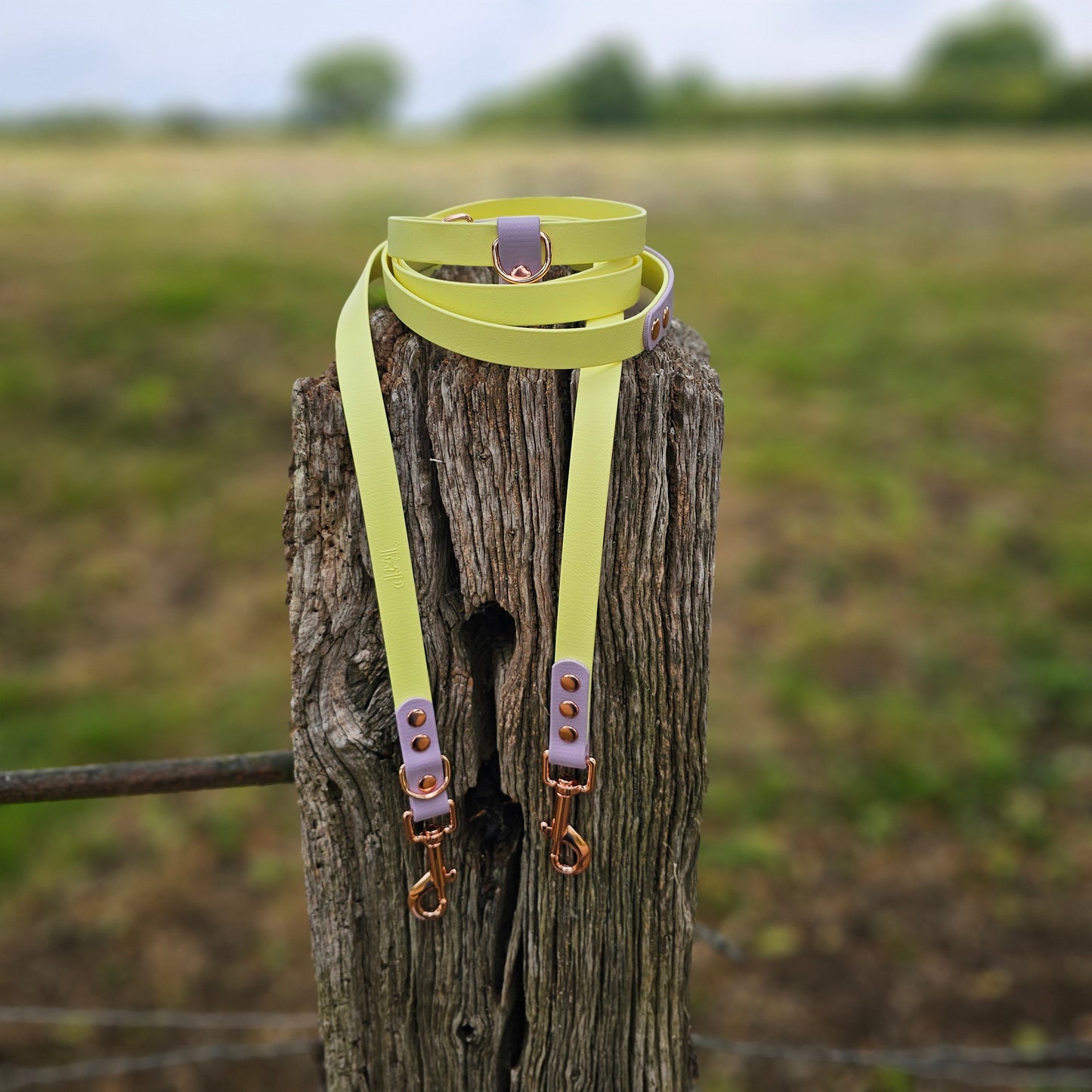 Pastel Collection - BioThane® waterproof Handsfree Dog Training Lead / Multiway Dog Lead