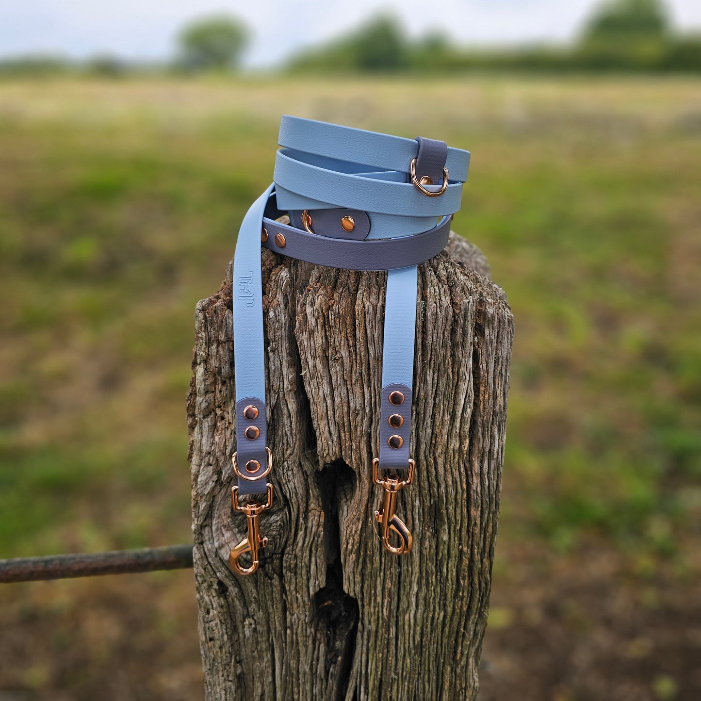 Pastel Collection - BioThane® waterproof Handsfree Dog Training Lead / Multiway Dog Lead