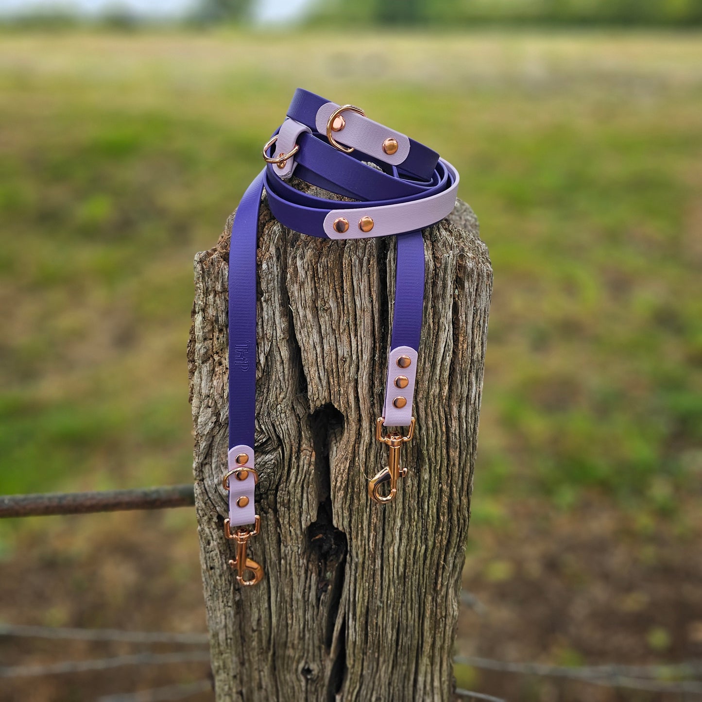 Purple & Lilac - Waterproof Biothane® Handsfree Dog Training Lead / Multiway Dog Lead