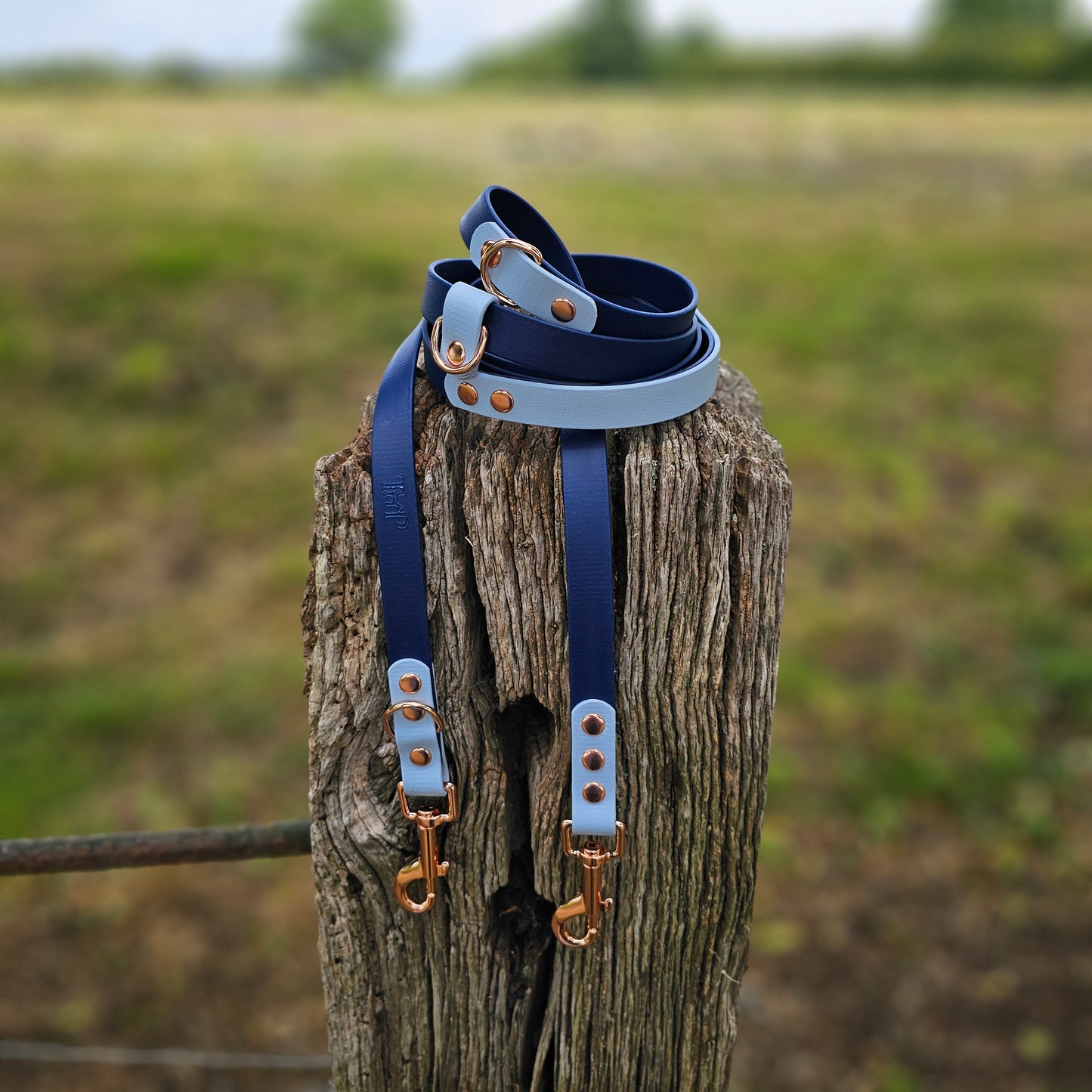 Navy & Baby Blue - Waterproof Biothane® Handsfree Dog Training Lead / Multiway Dog Lead