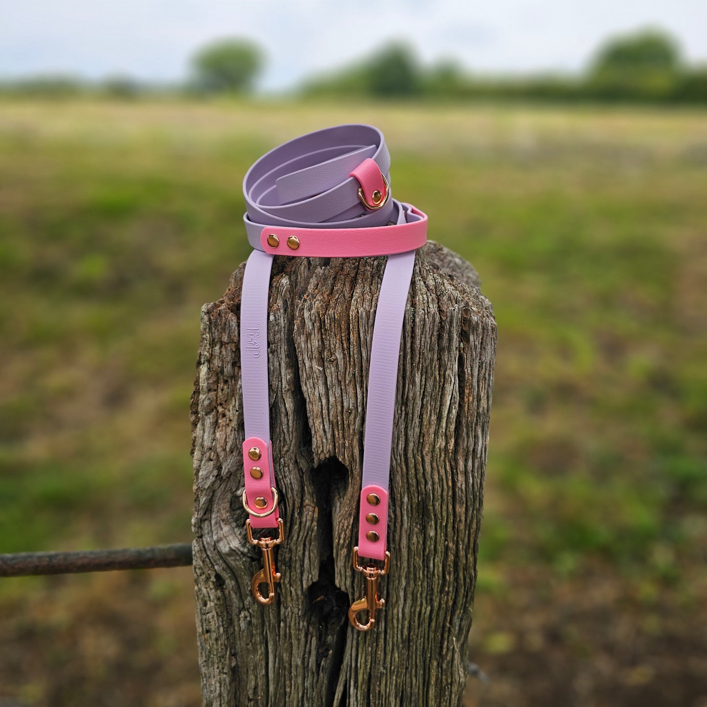 Pastel Collection - BioThane® waterproof Handsfree Dog Training Lead / Multiway Dog Lead