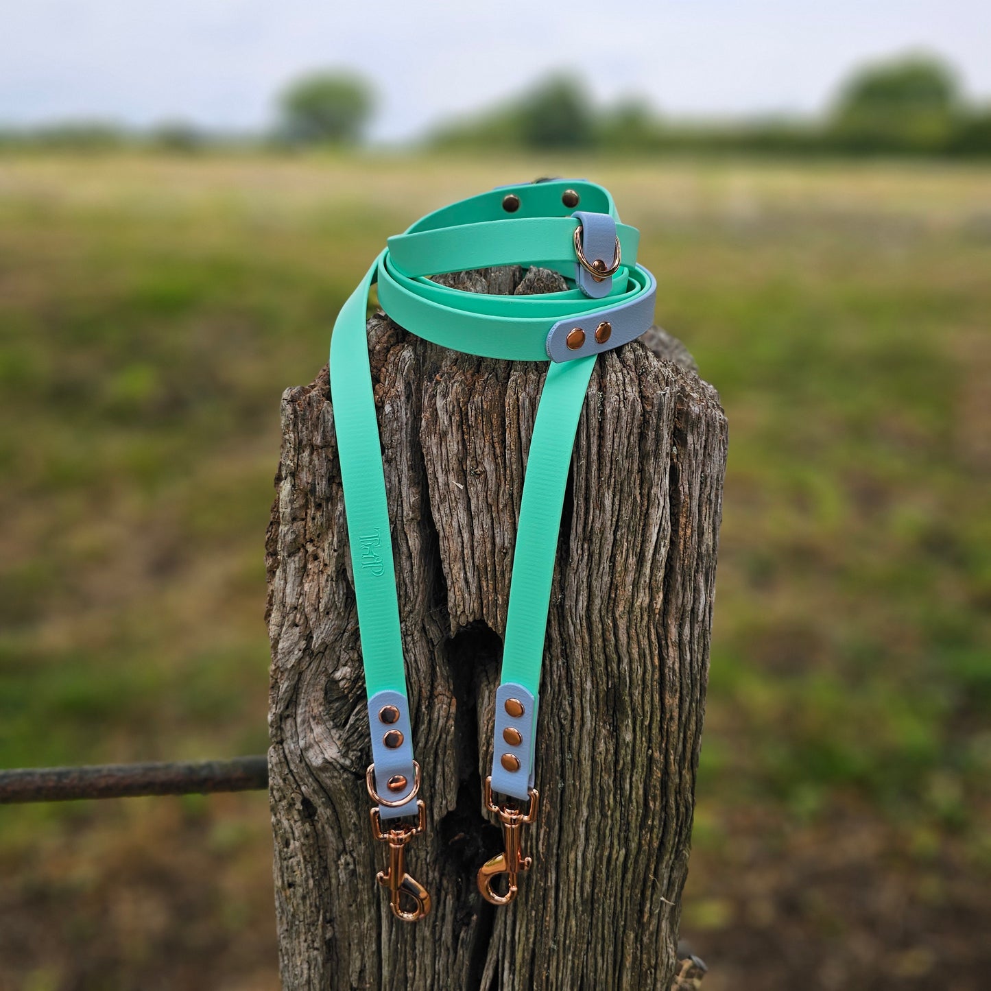 Pastel Collection - BioThane® waterproof Handsfree Dog Training Lead / Multiway Dog Lead