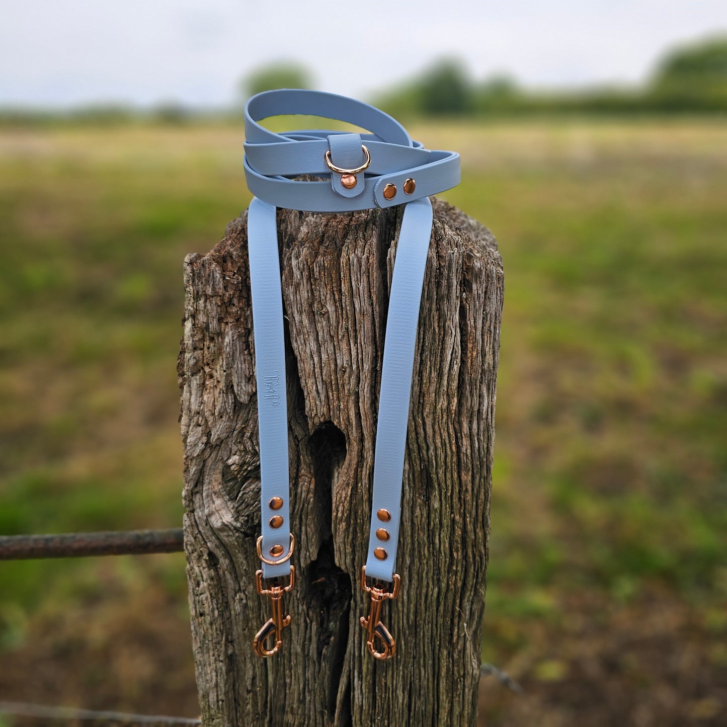 BioThane® waterproof Handsfree Dog Training Lead / Multiway Dog Lead - single coloured