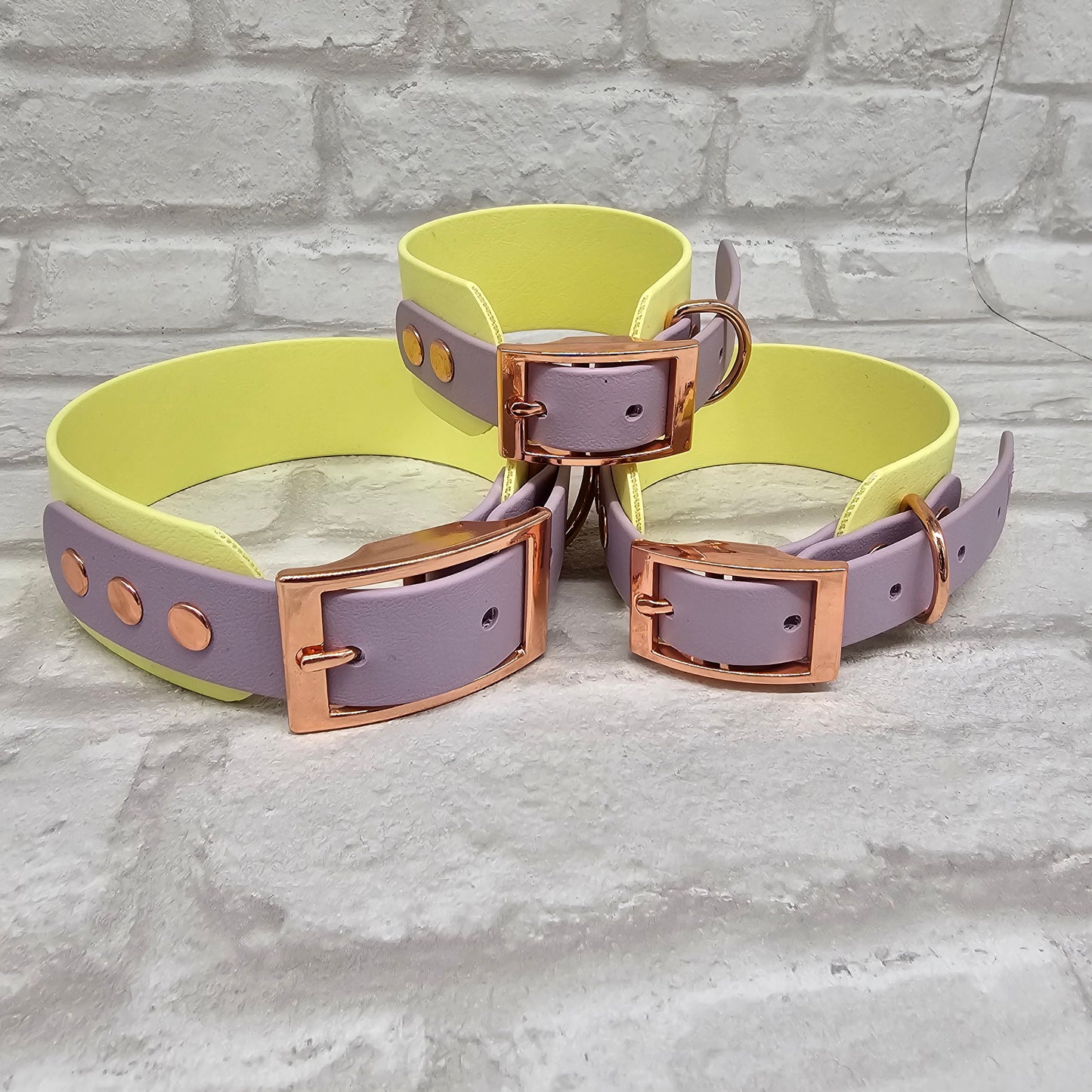 Lemon & Lilac - Waterproof BioThane© two-coloured Wide Fit Dog Collar / Martingale Collar