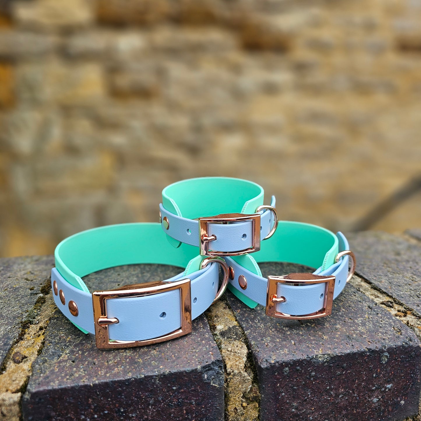 Mint & Baby Blue - Waterproof BioThane© two-coloured Wide Fit Dog Collar / Martingale Collar
