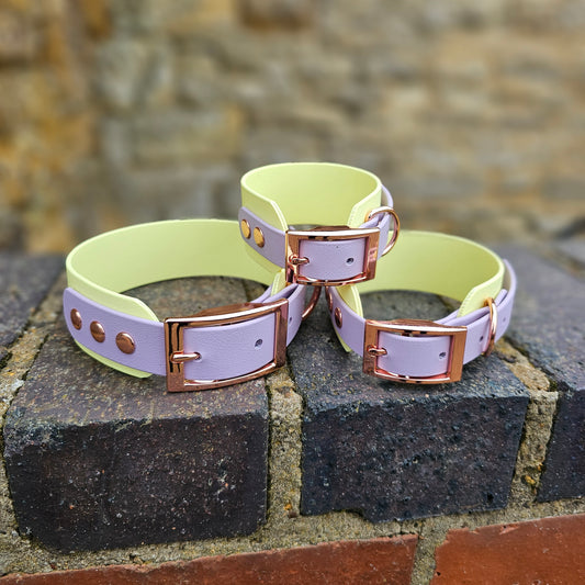 Lemon & Lilac - Waterproof BioThane© two-coloured Wide Fit Dog Collar / Martingale Collar