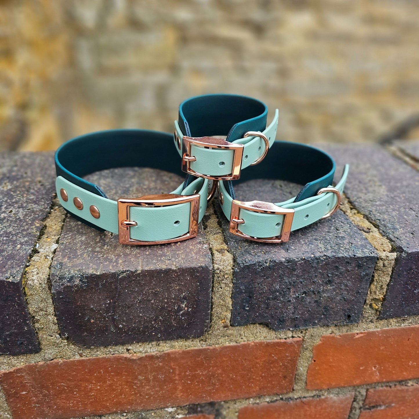 Dark Green & Sage - Waterproof BioThane© two-coloured Wide Fit Dog Collar / Martingale Collar