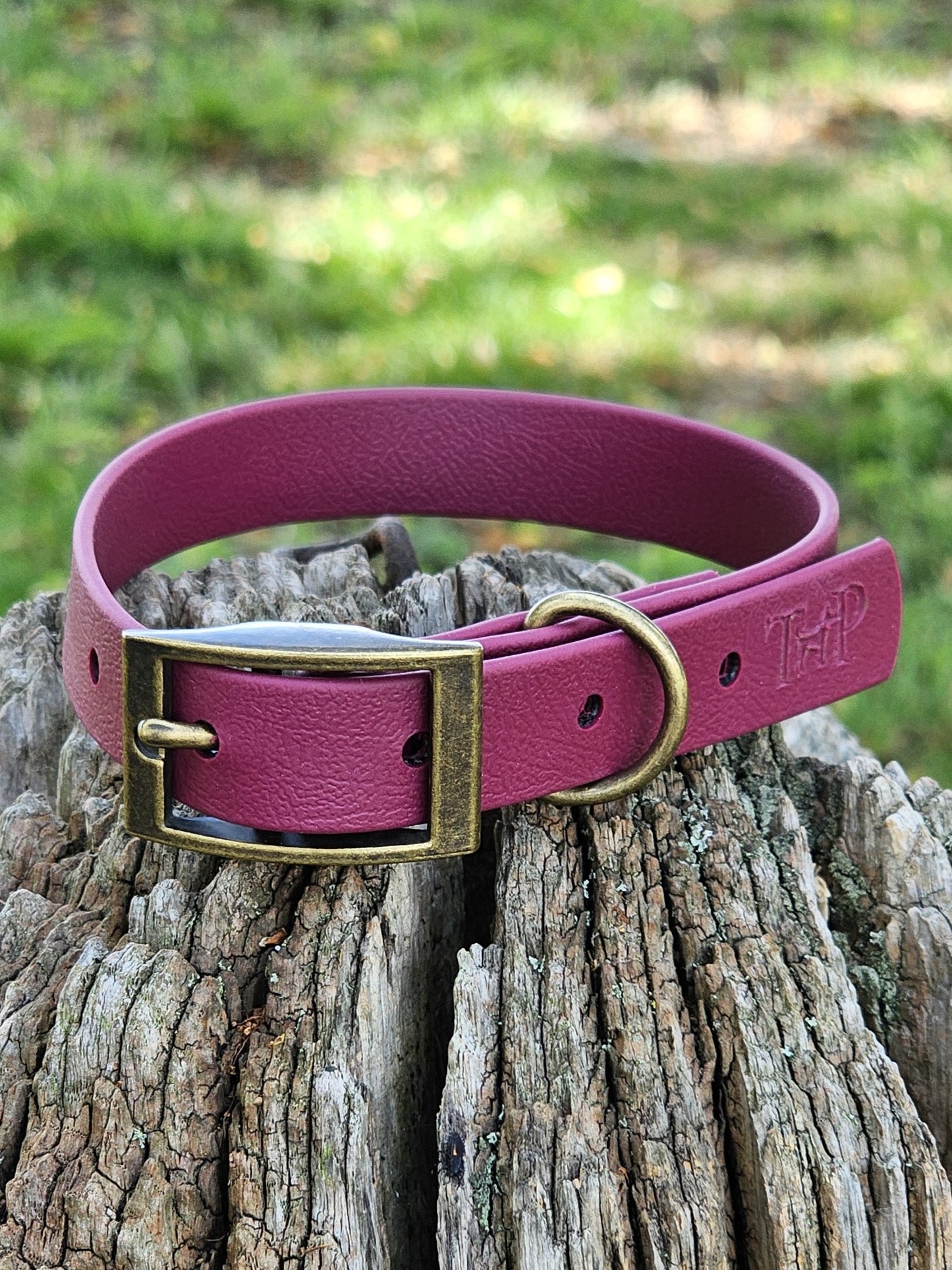 Burgundy - Waterproof BioThane© Dog Collar