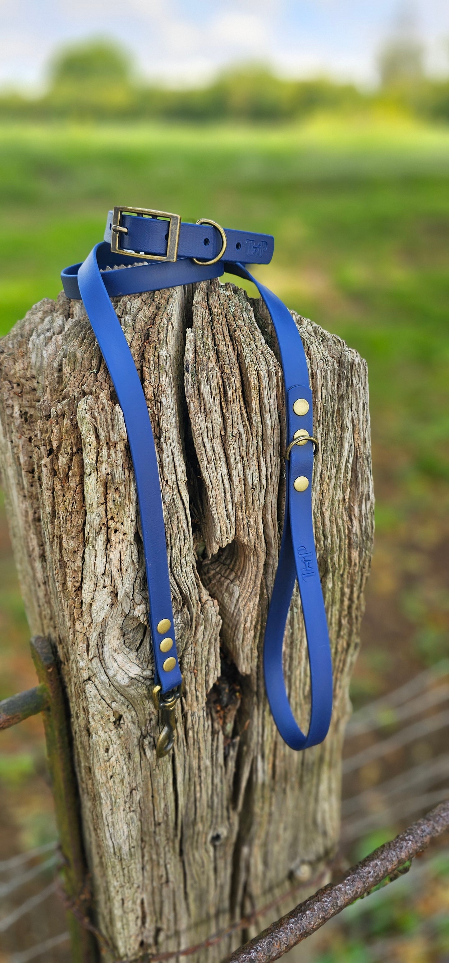 Navy Waterproof BioThane© Dog Collar