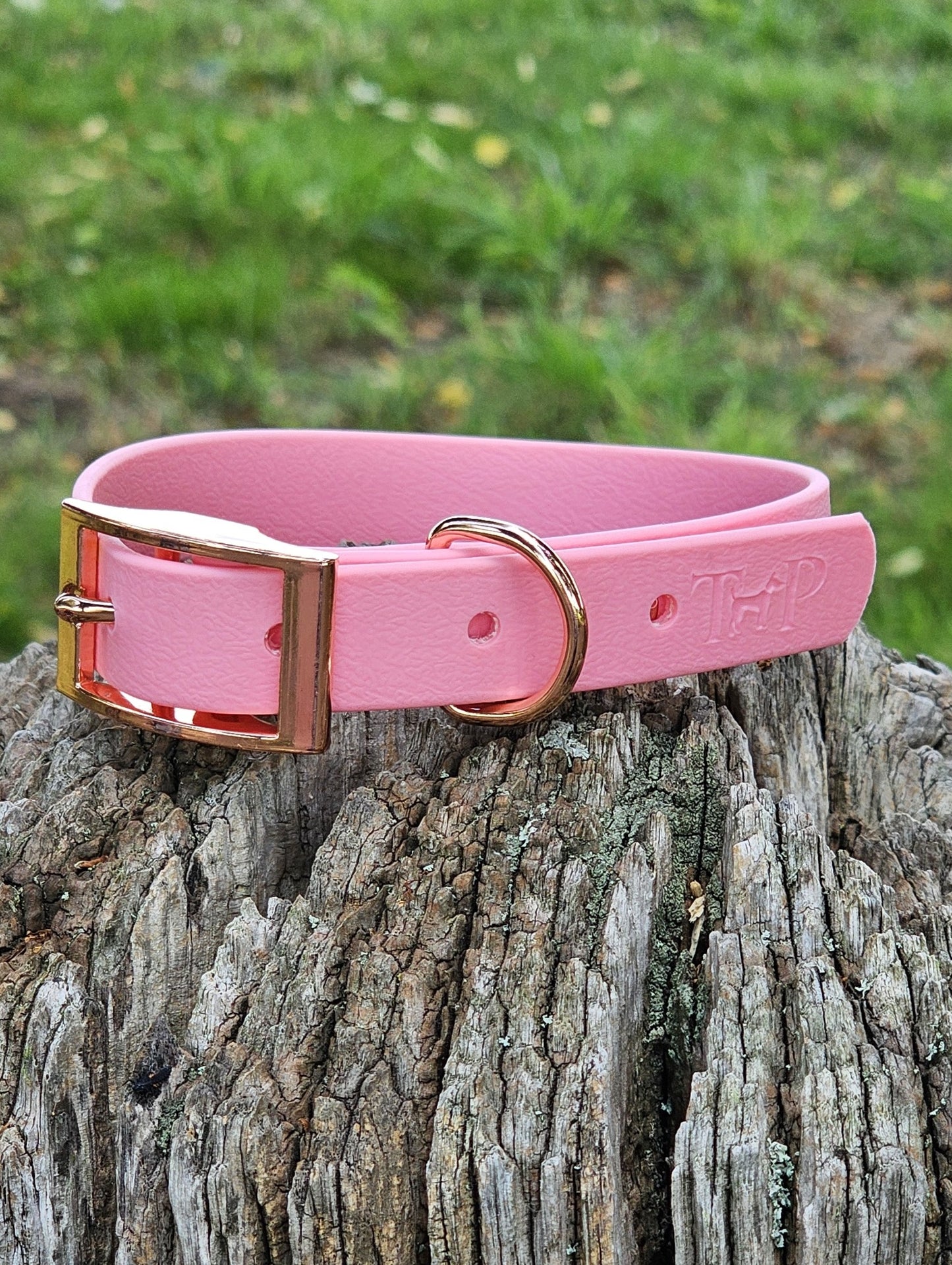 Baby Pink - Waterproof BioThane© Dog Collar