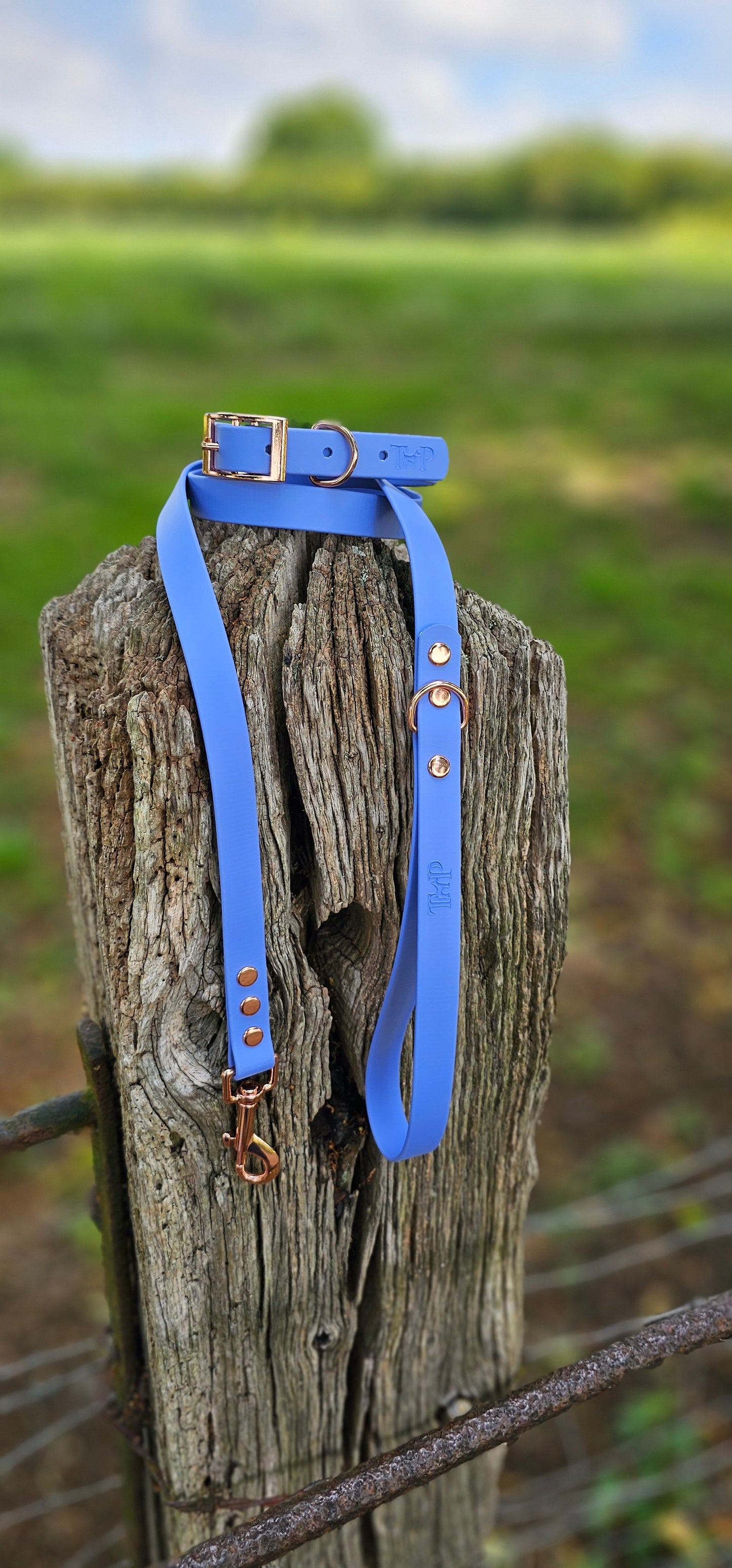 Periwinkle Waterproof BioThane© Dog Collar