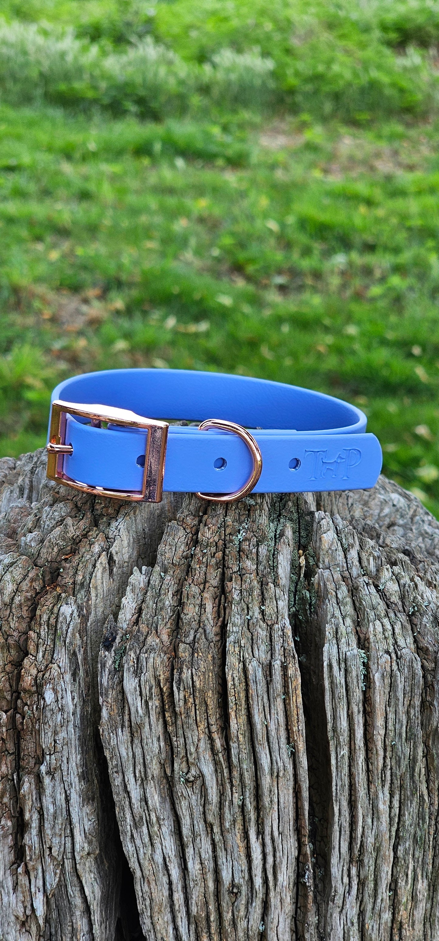 PERIWINKLE - Waterproof BioThane© Dog Collar/Lead/Bundle