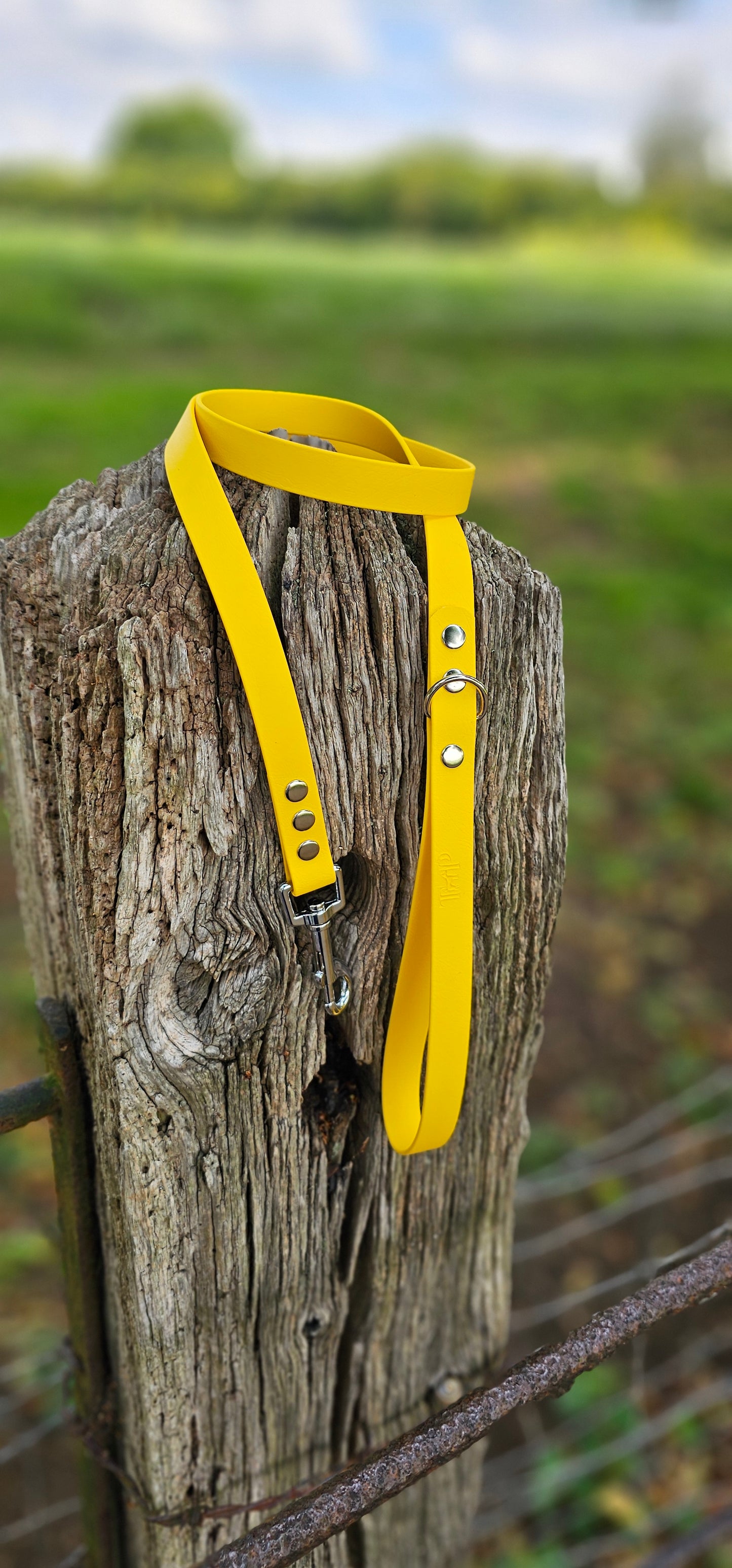 Yellow Waterproof BioThane© Dog Lead
