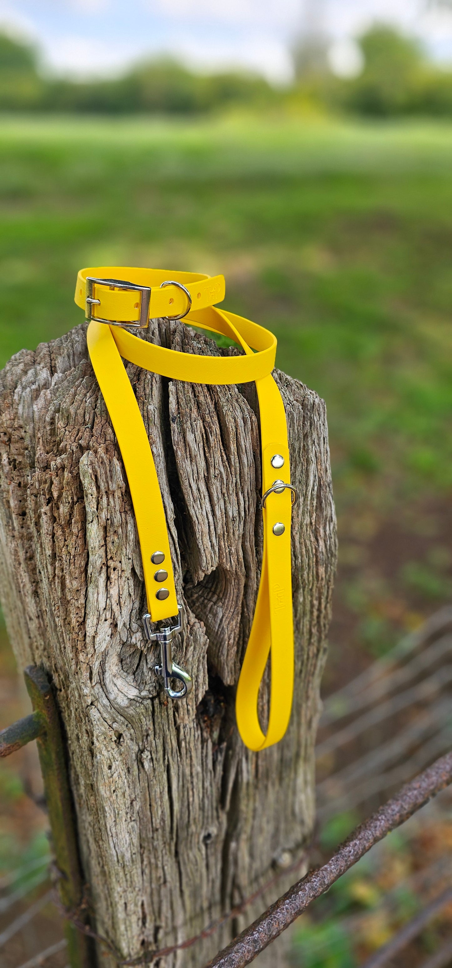 Yellow Waterproof BioThane© Dog Collar