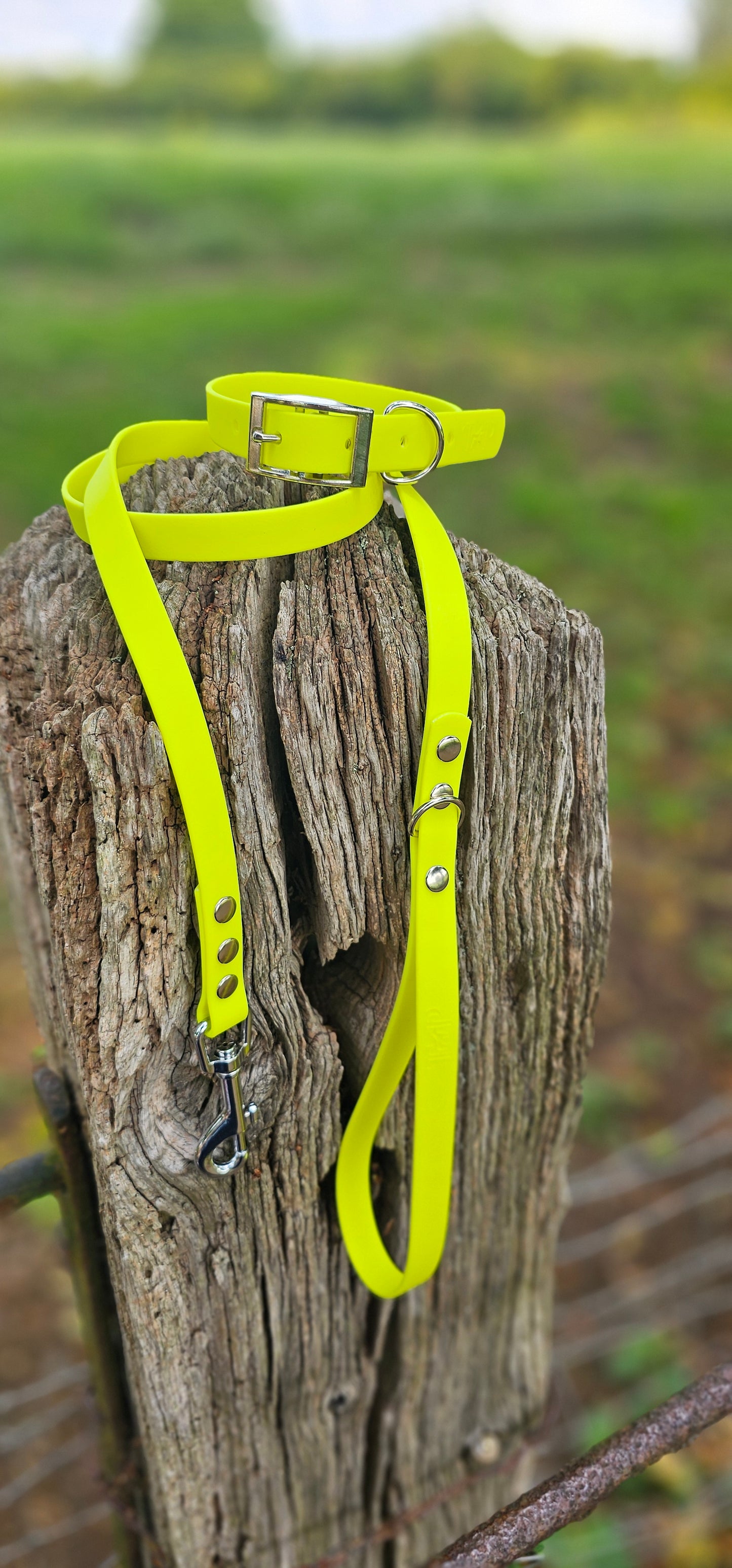 Neon Yellow Waterproof BioThane© Dog Collar