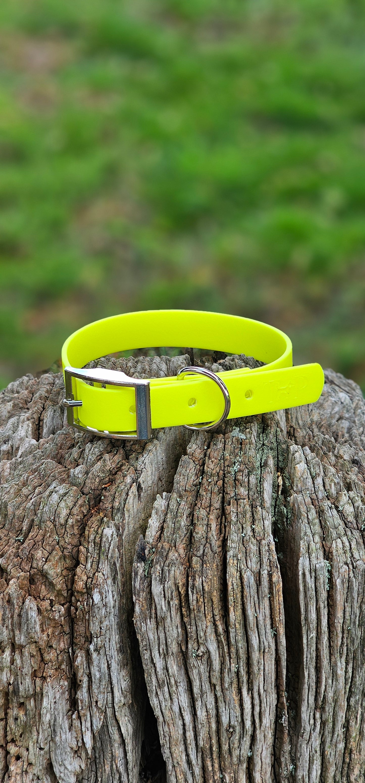 Neon Yellow Waterproof BioThane© Dog Collar