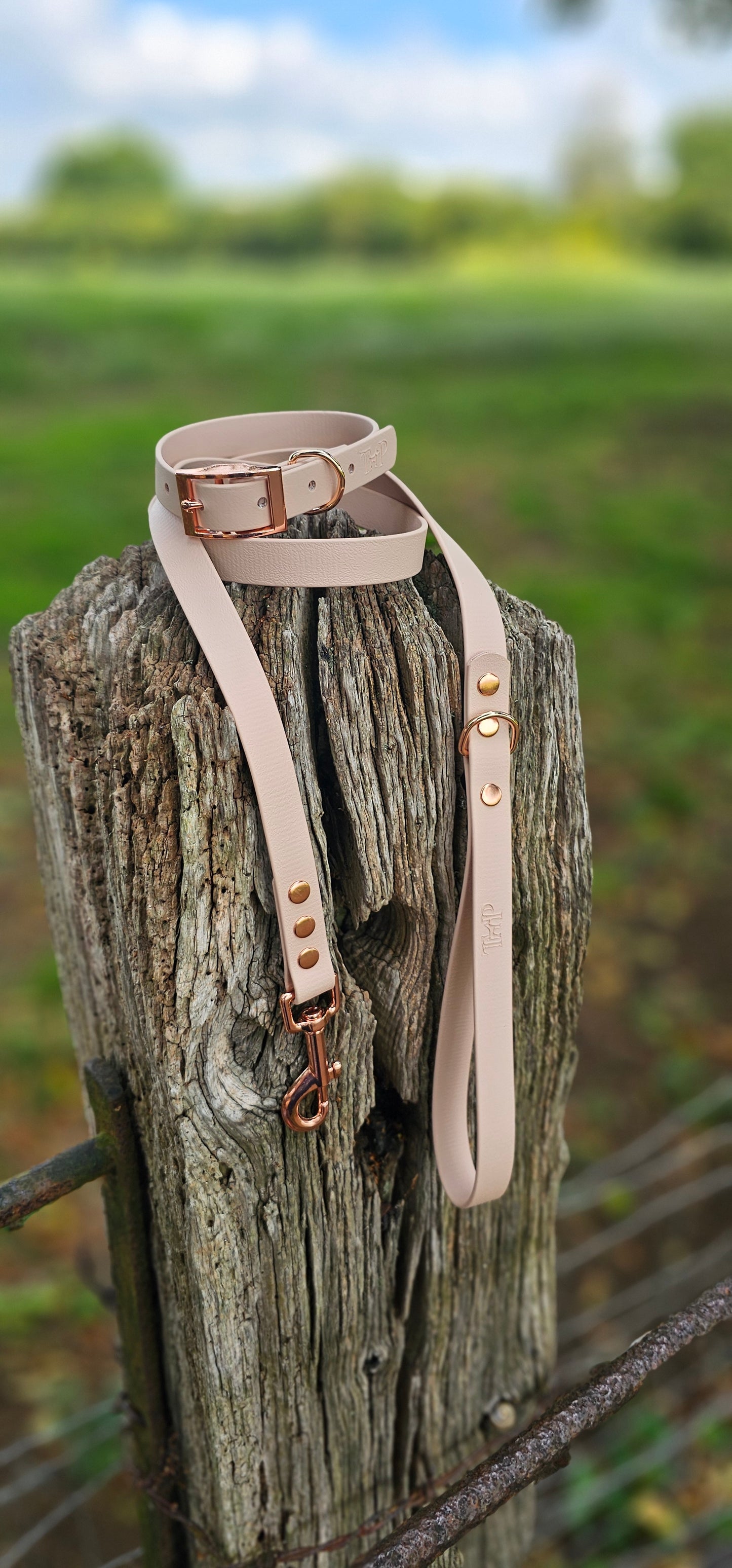 Powder Pearl Waterproof BioThane© Dog Collar