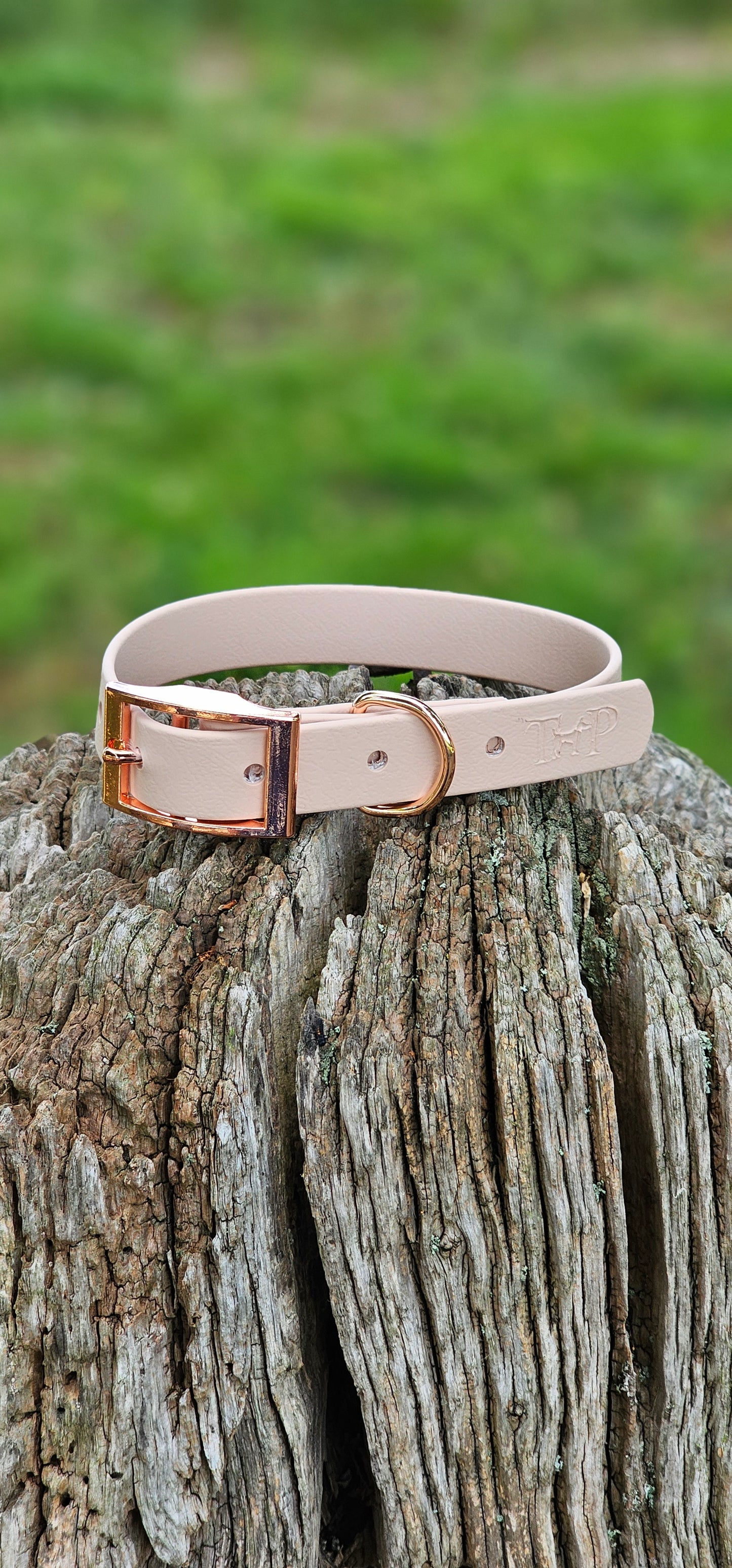 POWDER PEARL - Waterproof BioThane© Dog Collar/Lead/Bundle