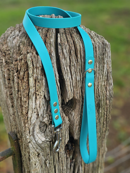 Teal Waterproof BioThane© Dog Lead
