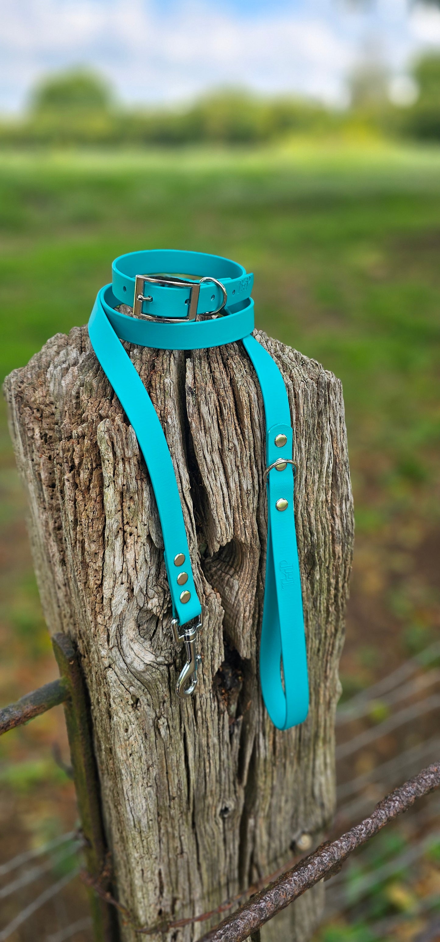 Teal Waterproof BioThane© Dog Collar