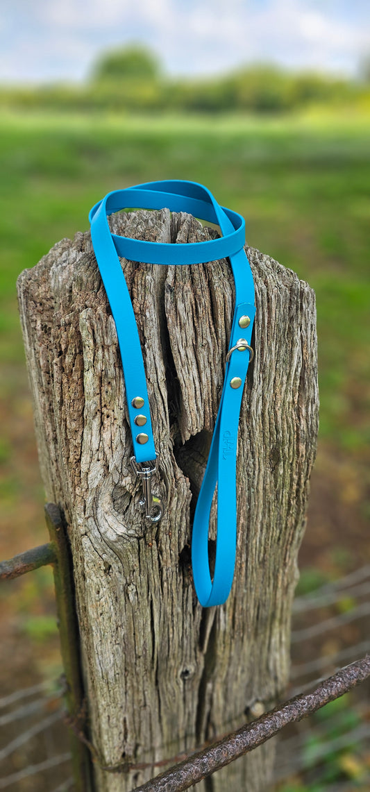 Lagune Waterproof BioThane© Dog Lead