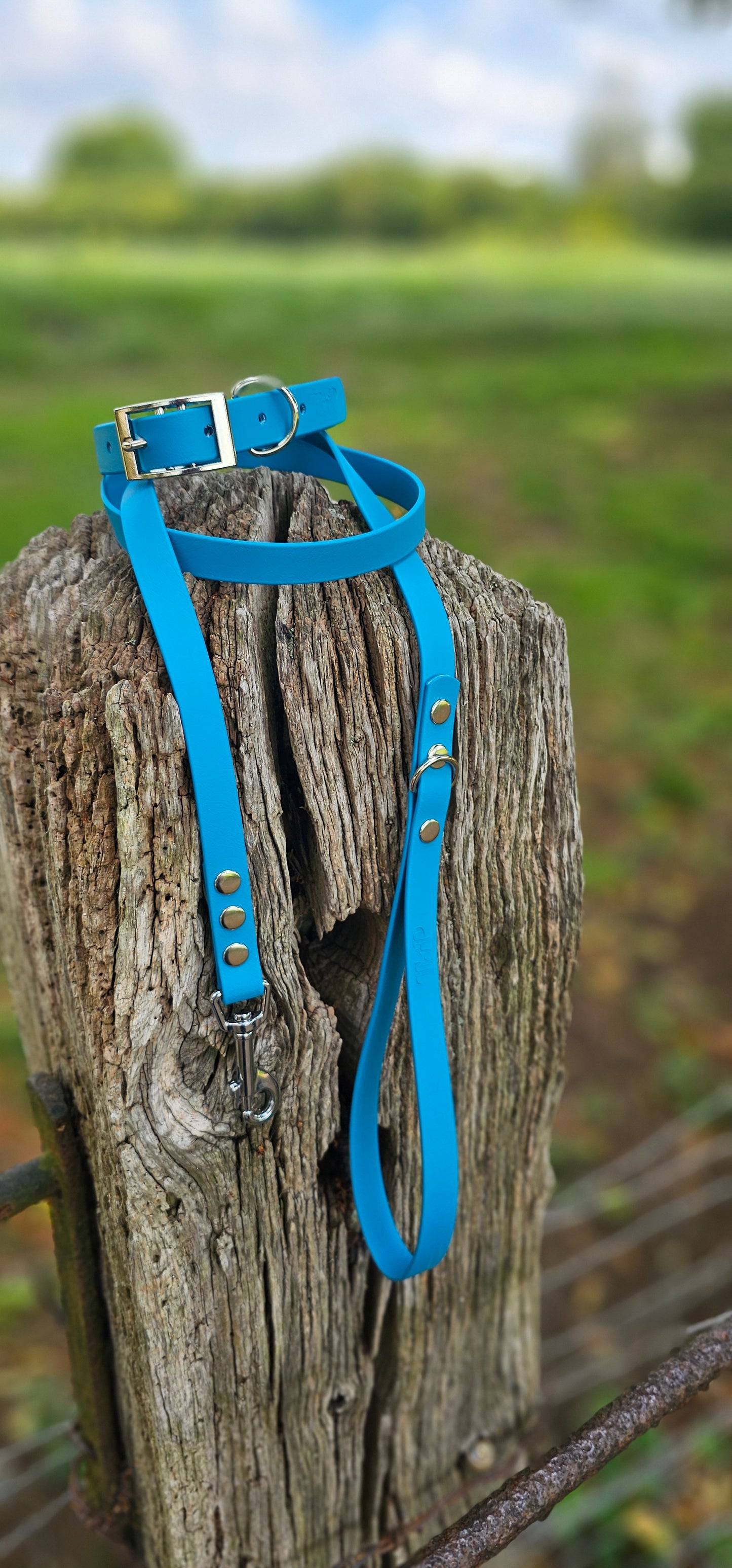 Lagune Waterproof BioThane© Dog Collar